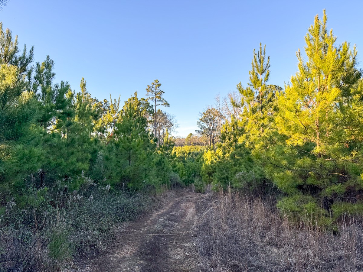 T-3 Cr 4415 Property Photo 14