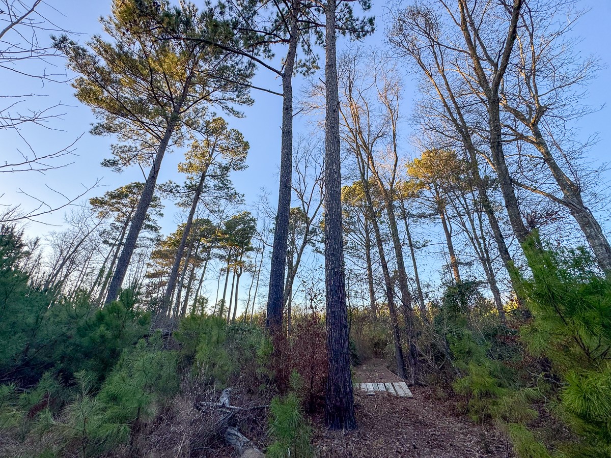 T-3 Cr 4415 Property Photo 15
