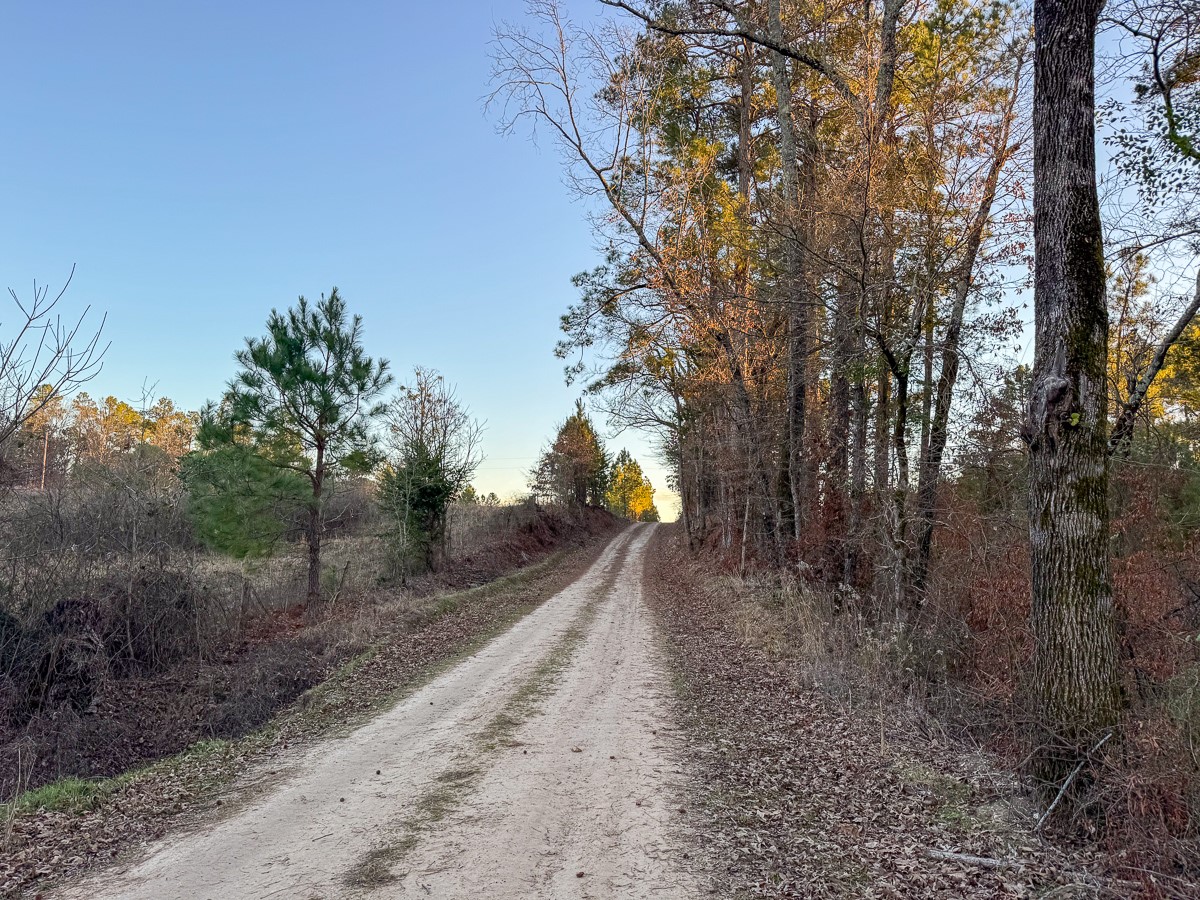 T-3 Cr 4415 Property Photo 20