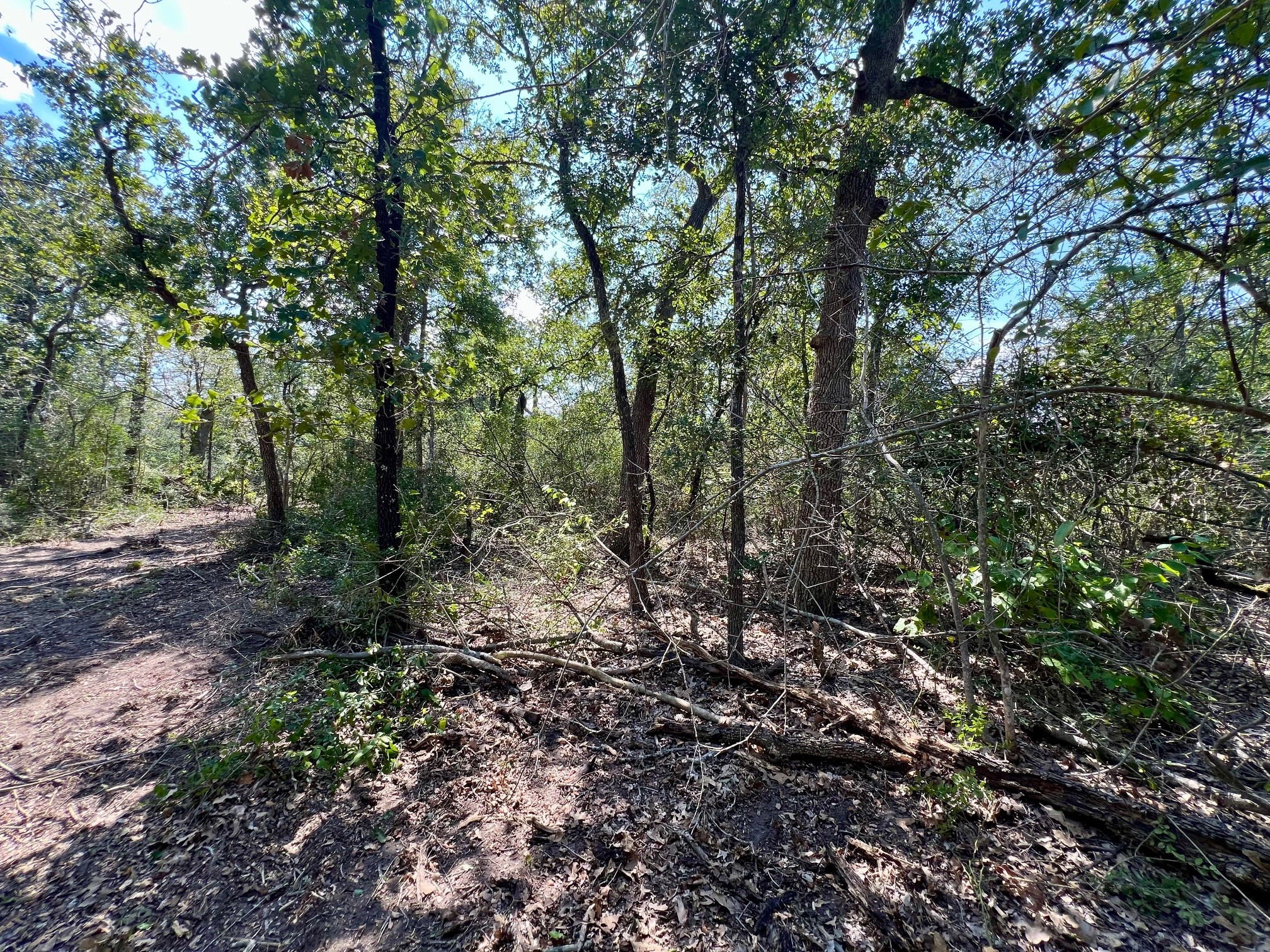 531 Moss Oak Drive Property Photo 3