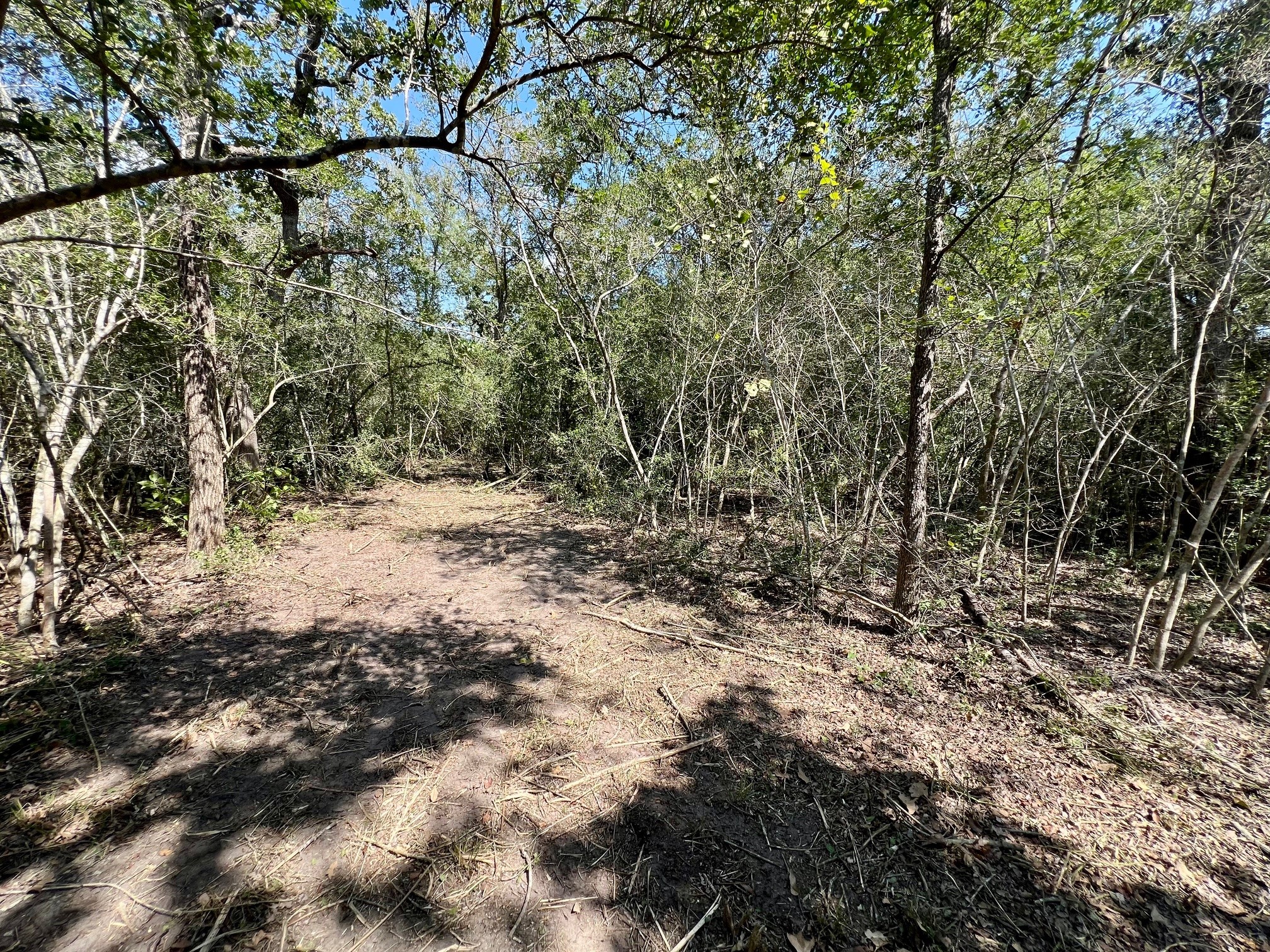 531 Moss Oak Drive Property Photo 4