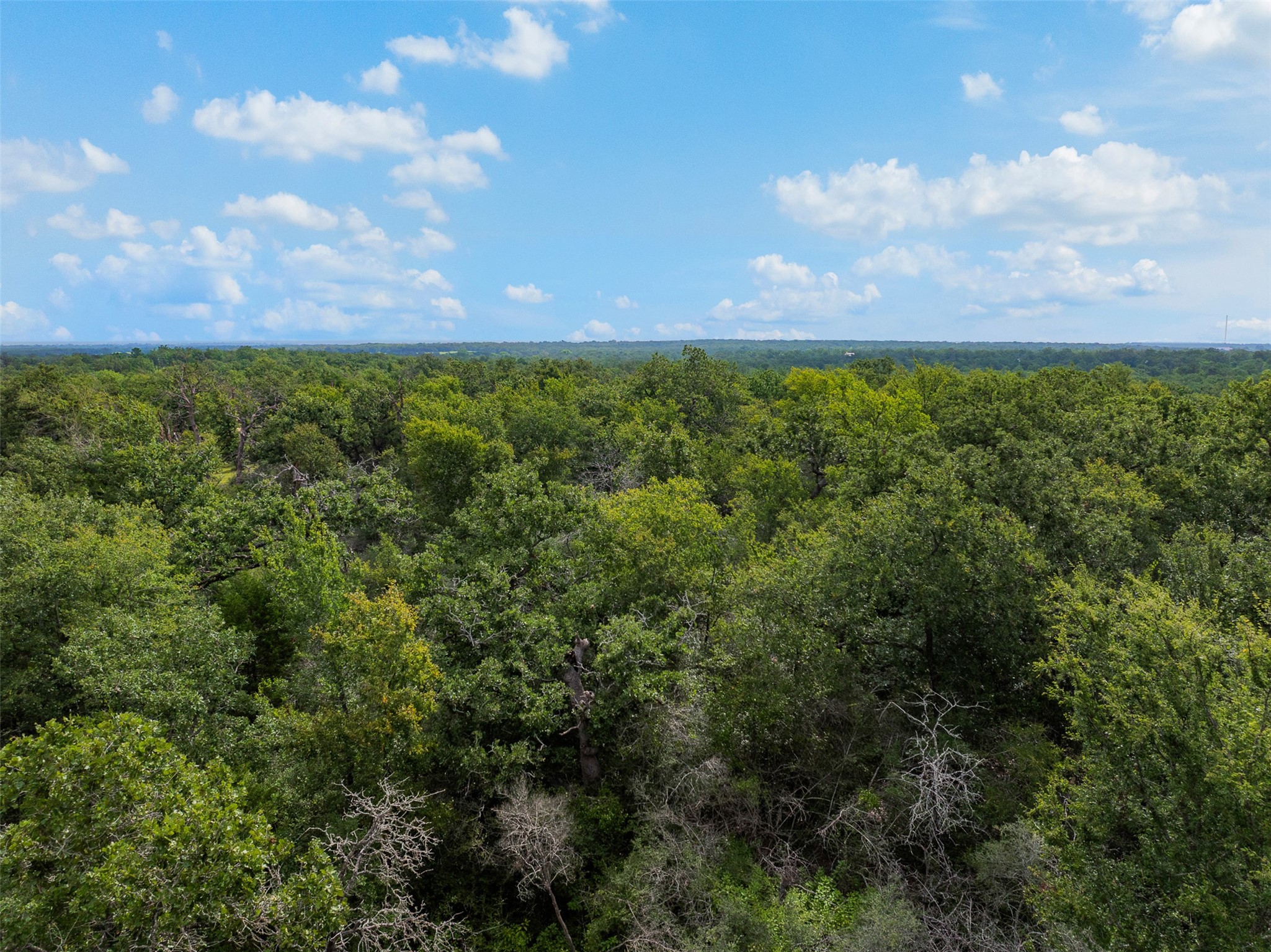 531 Moss Oak Drive Property Photo 8