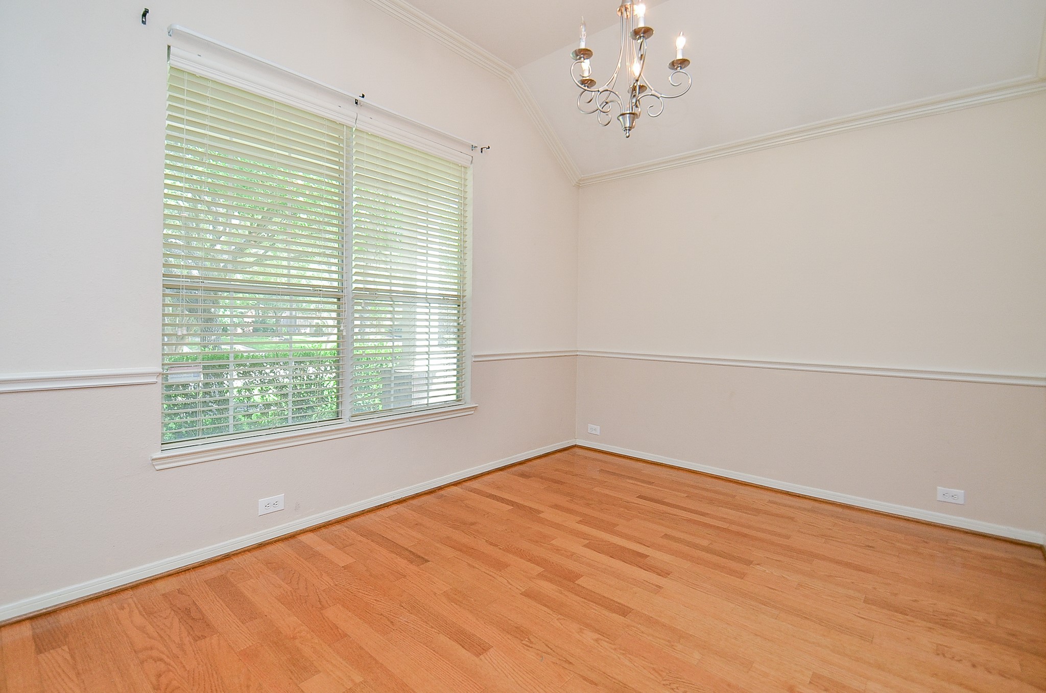 23231 Century Plant Drive Property Photo 19