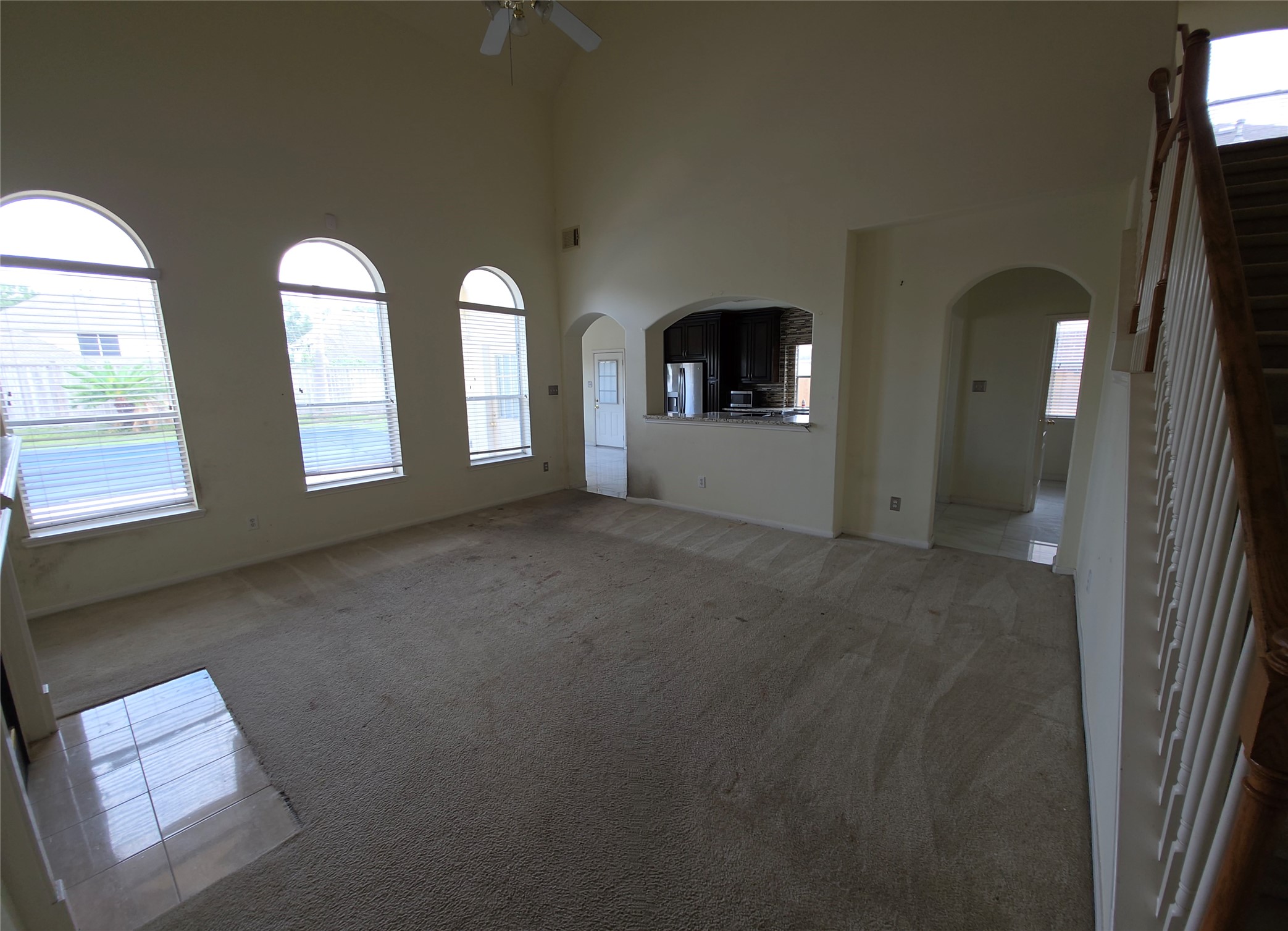 4221 Freedom Tree Drive Property Photo 3