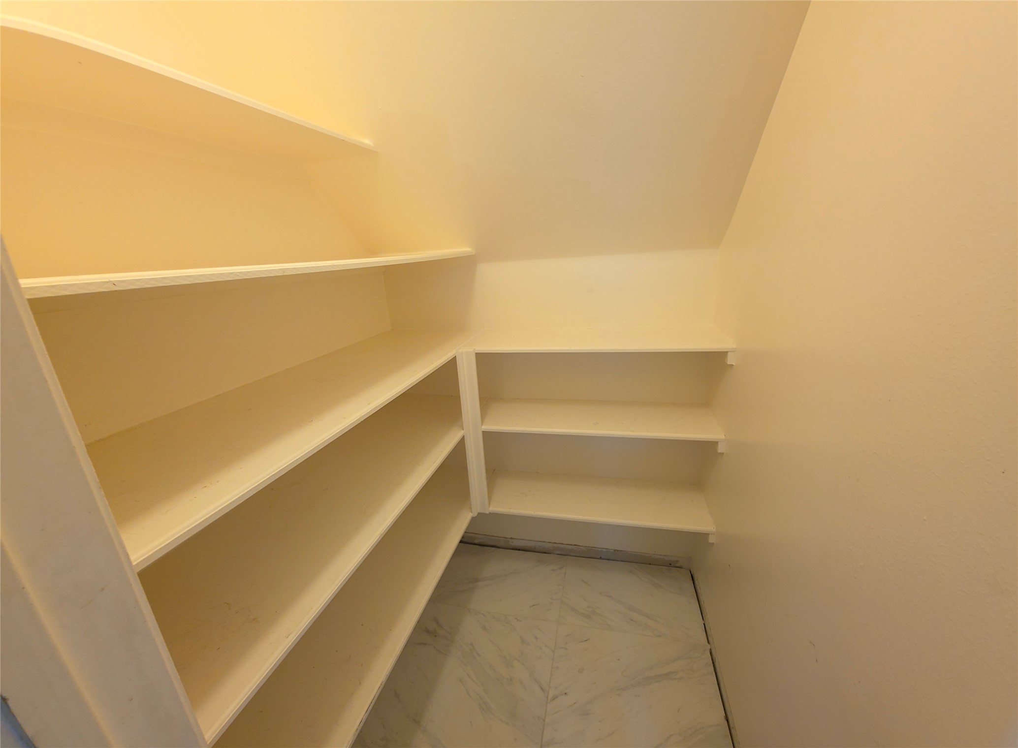 4221 Freedom Tree Drive Property Photo 7