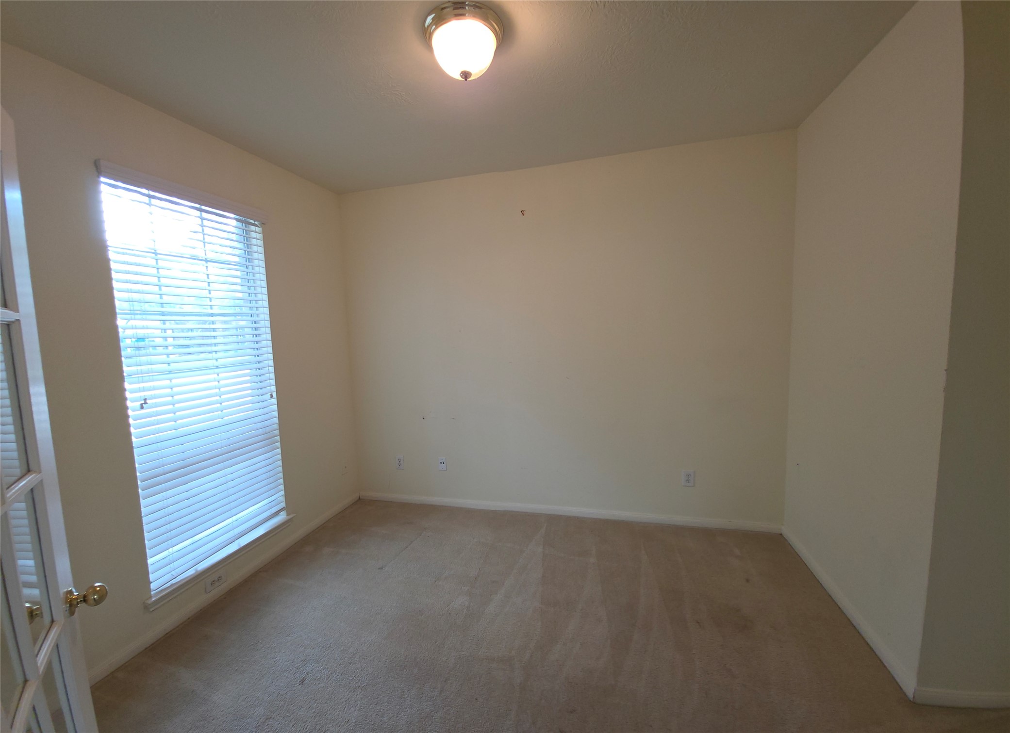 4221 Freedom Tree Drive Property Photo 11