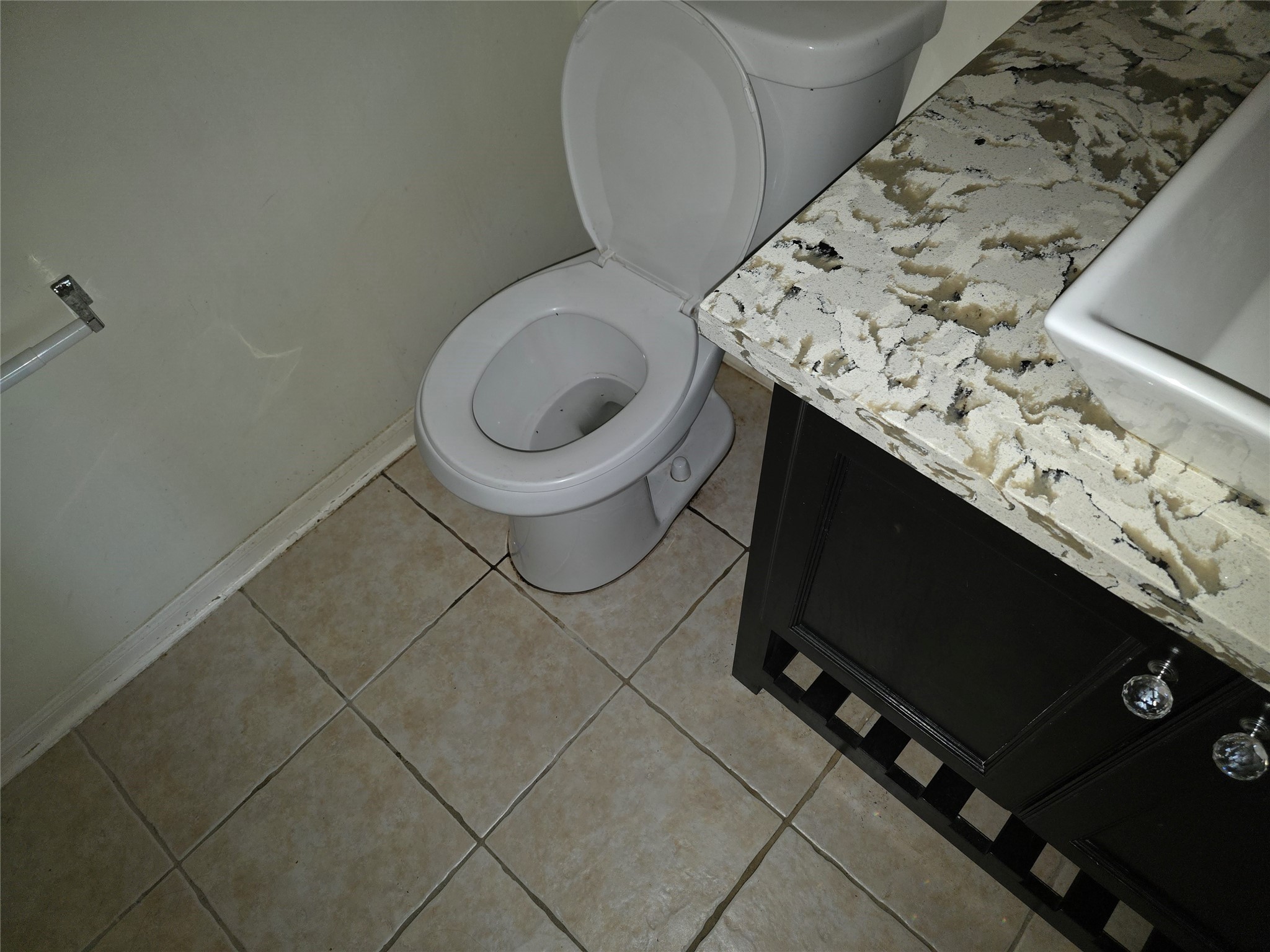 4221 Freedom Tree Drive Property Photo 12