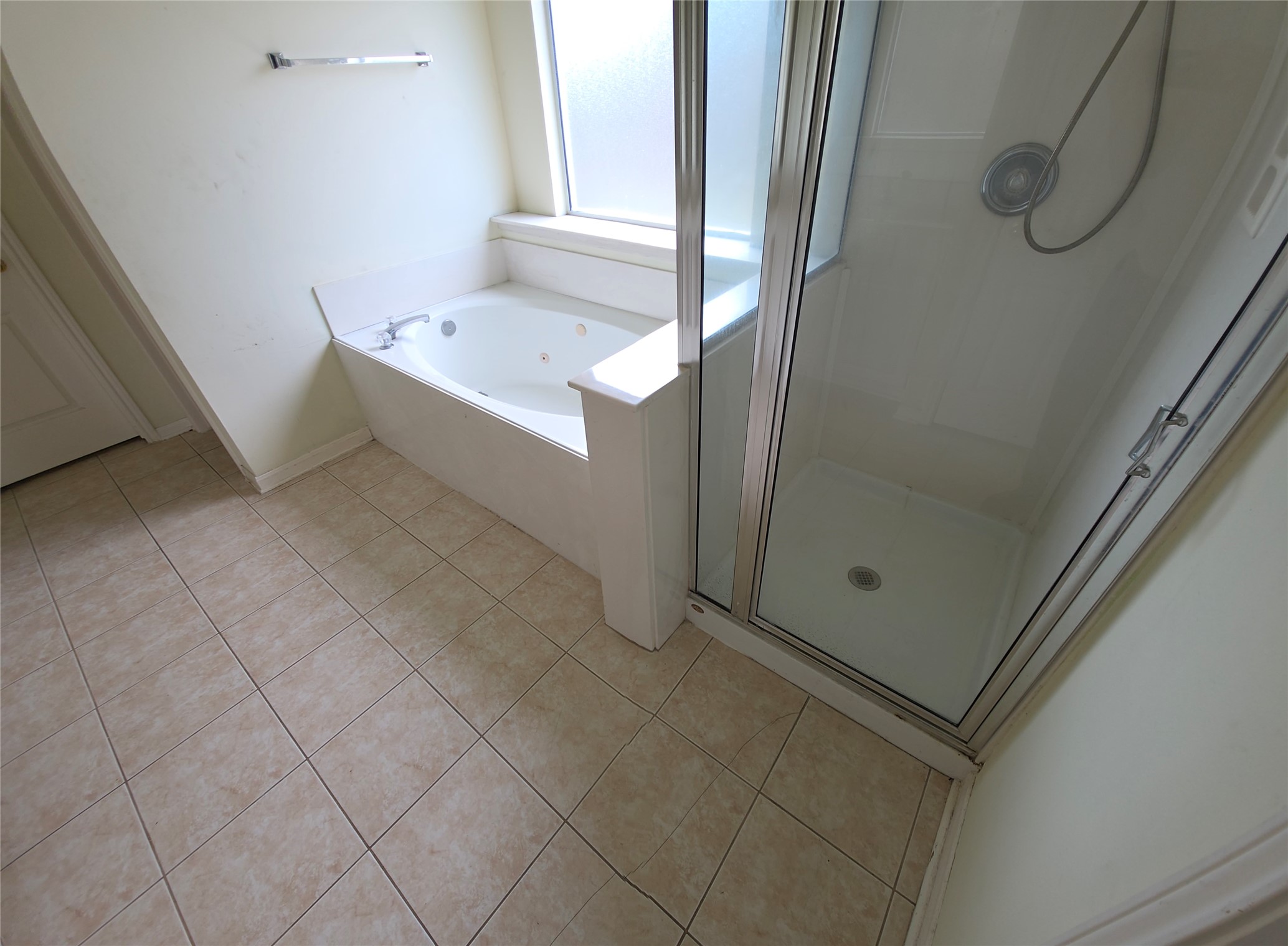 4221 Freedom Tree Drive Property Photo 15