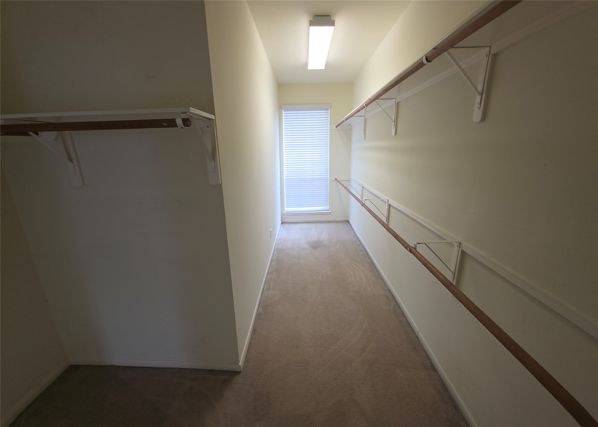4221 Freedom Tree Drive Property Photo 16