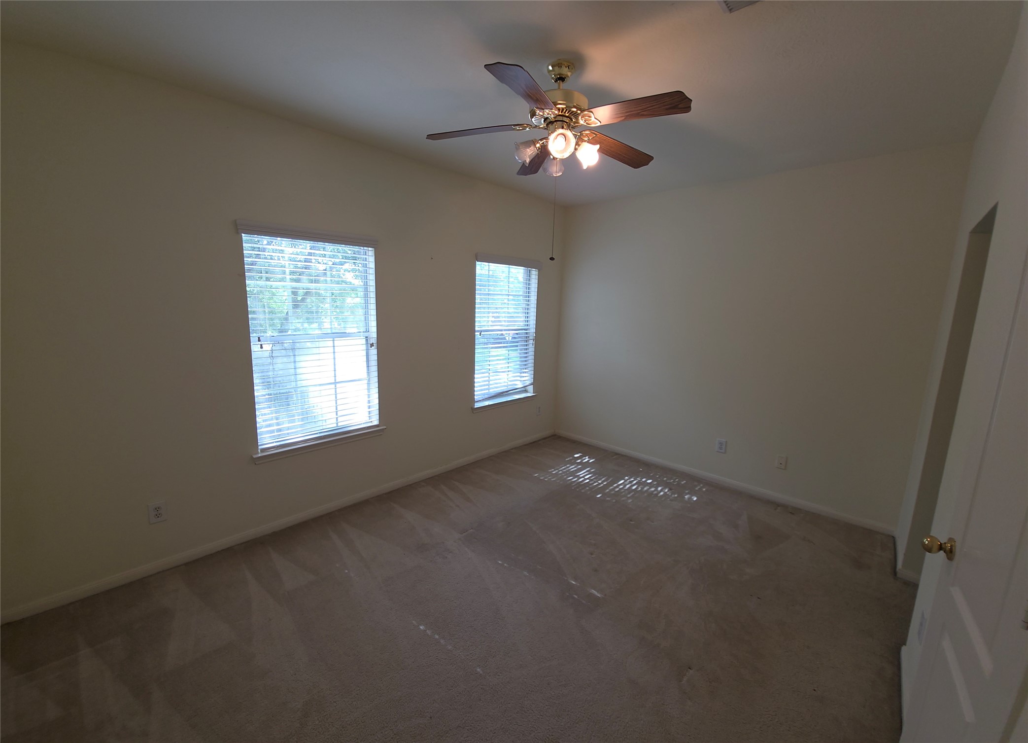 4221 Freedom Tree Drive Property Photo 19