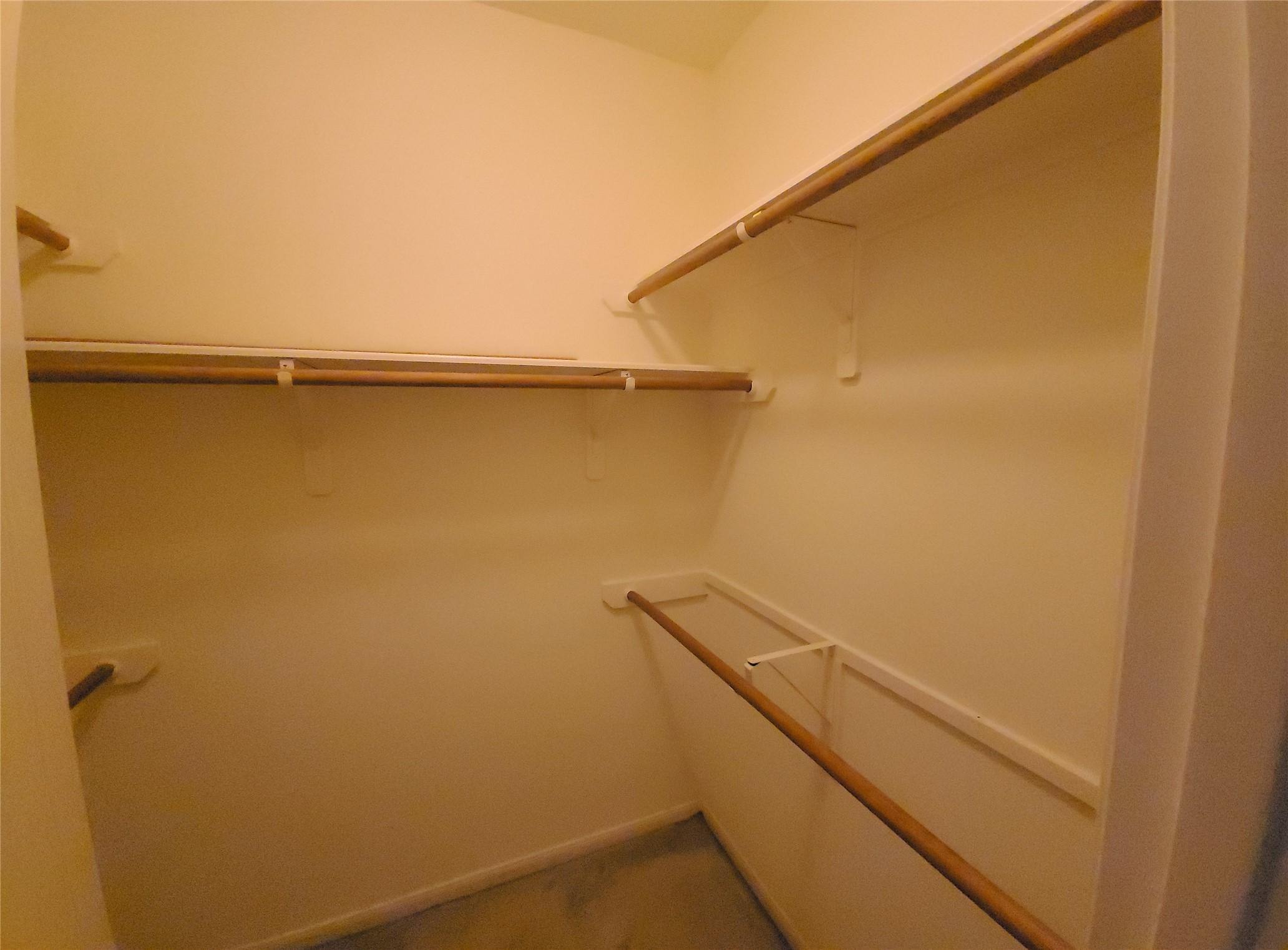4221 Freedom Tree Drive Property Photo 20