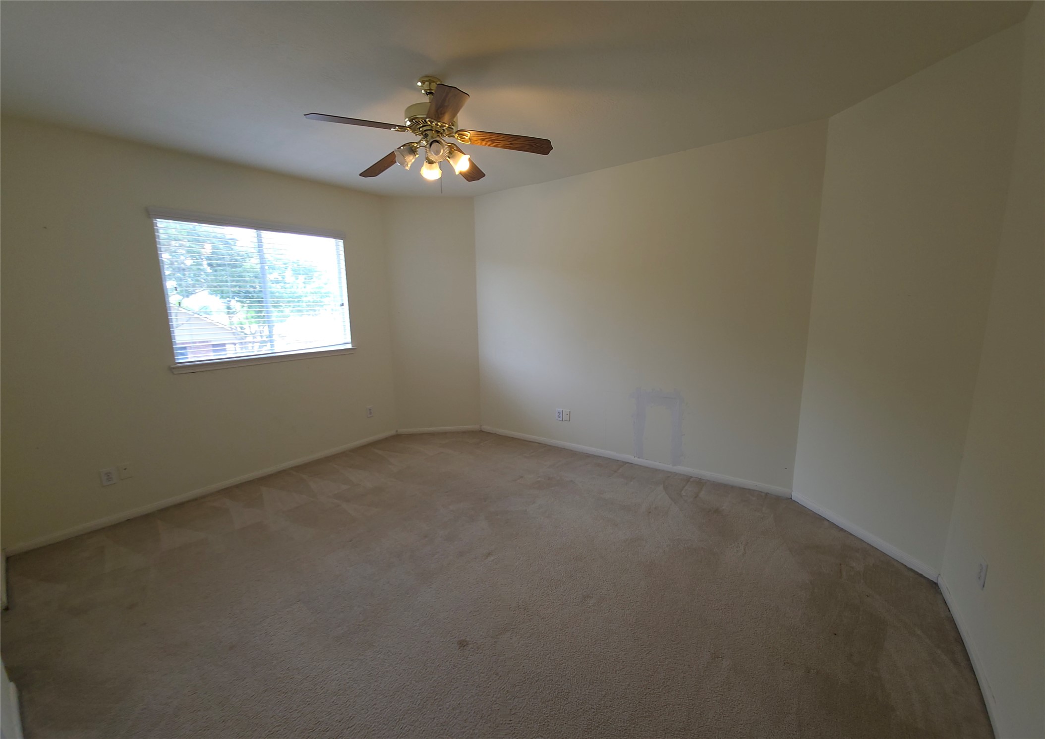 4221 Freedom Tree Drive Property Photo 21