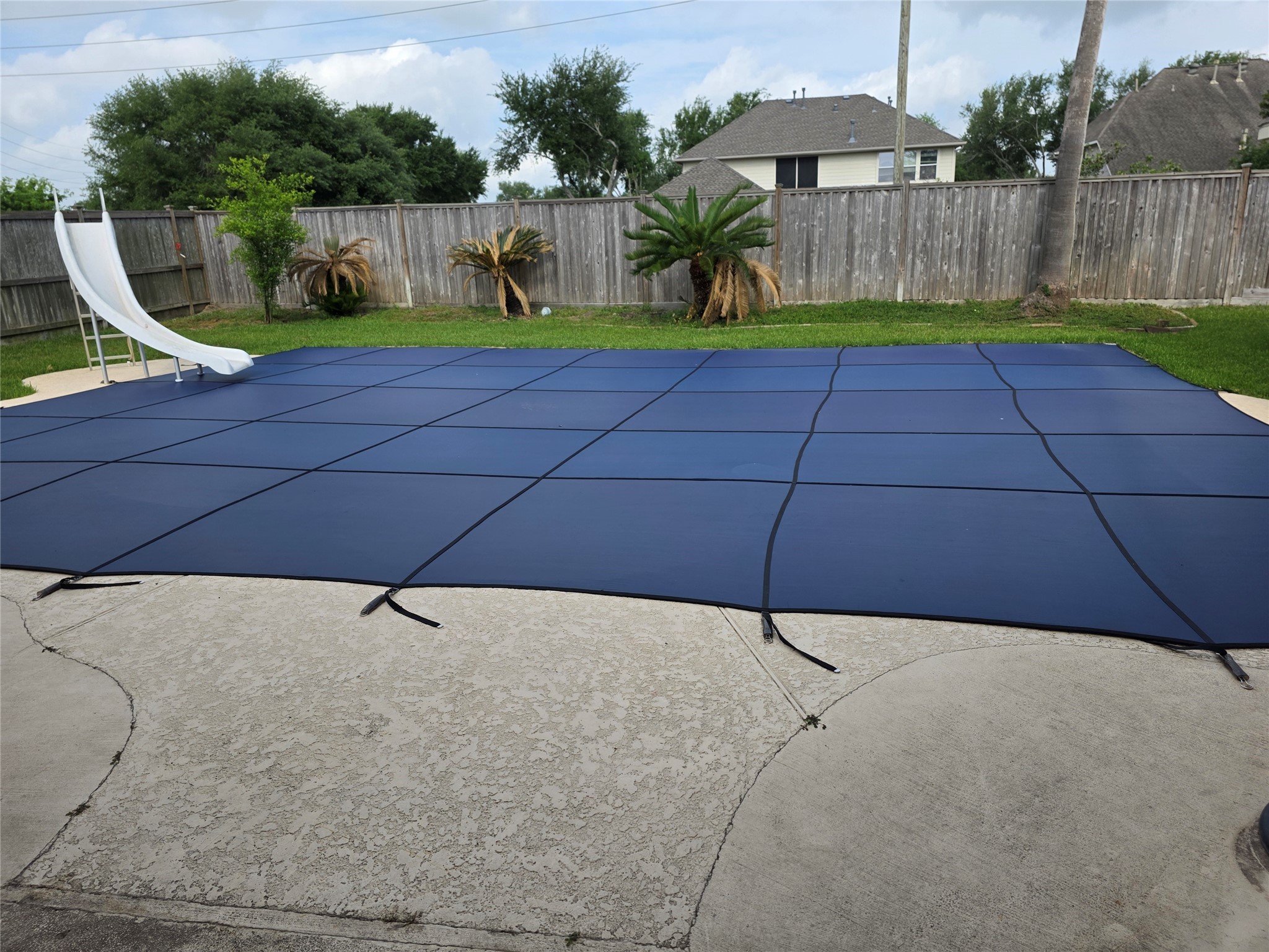 4221 Freedom Tree Drive Property Photo 26