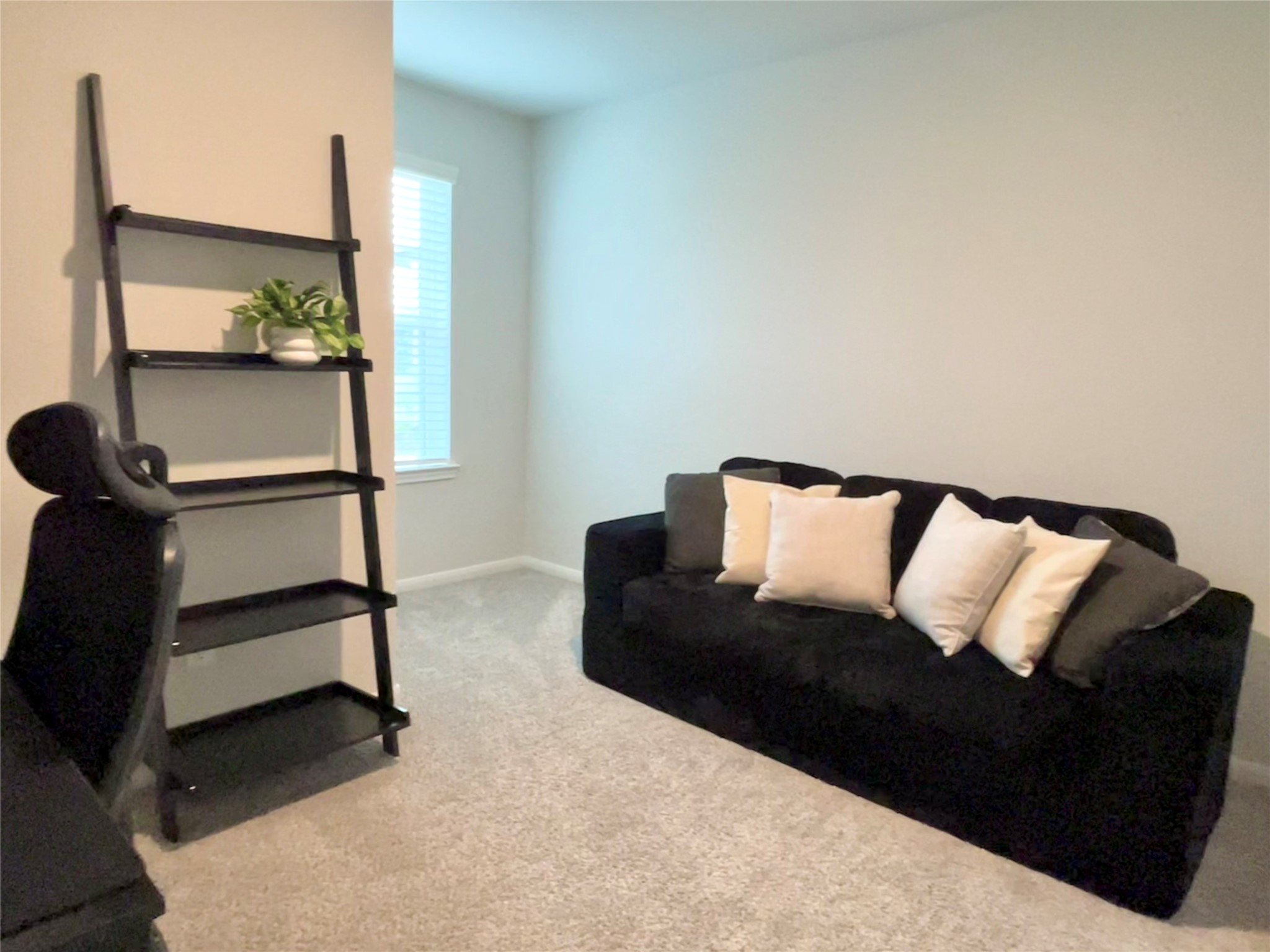 8320 Bristlecone Pine Way Property Photo 20