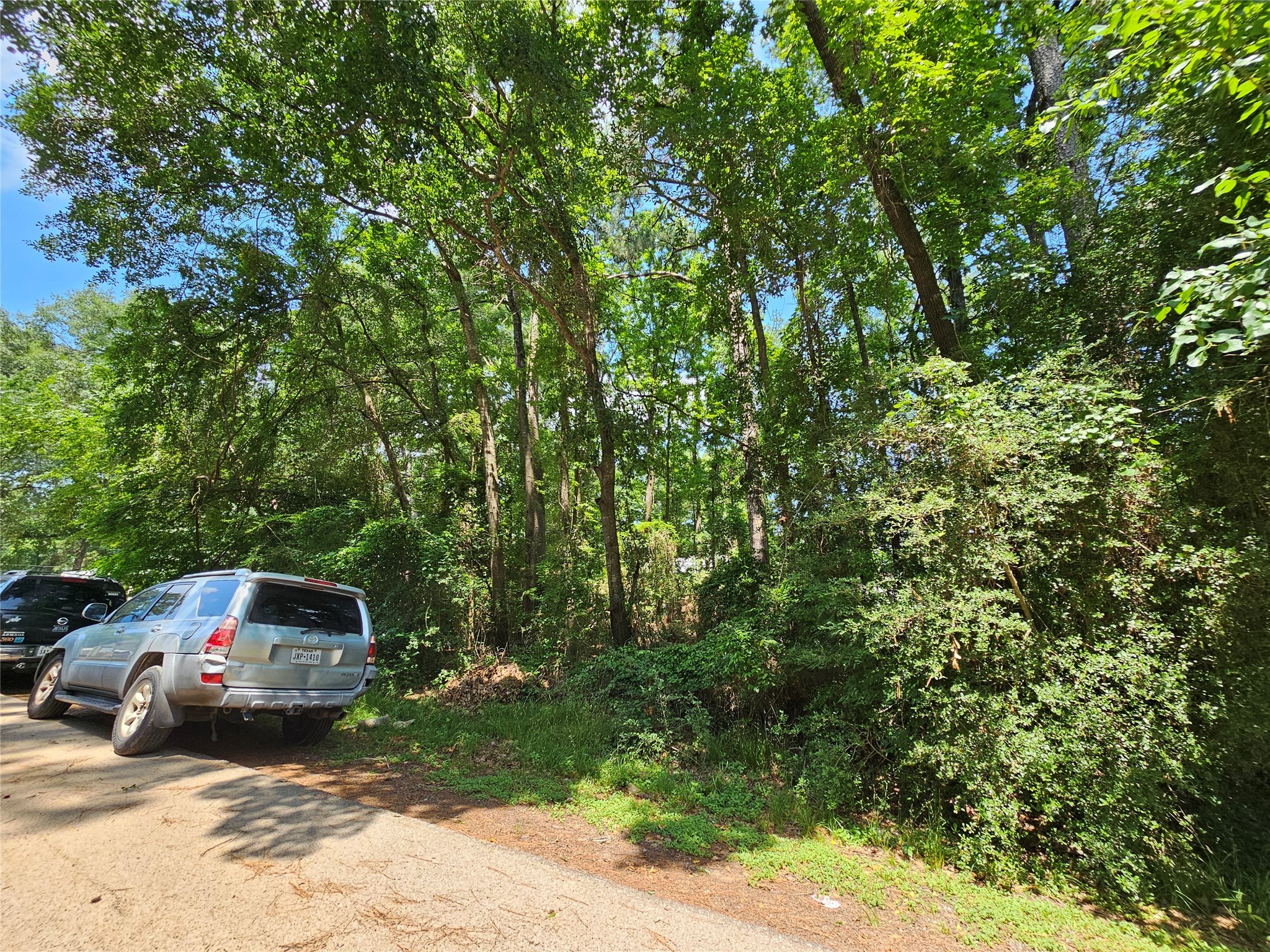 Lot 60 & 61 Arbor Oak Drive Property Photo 9