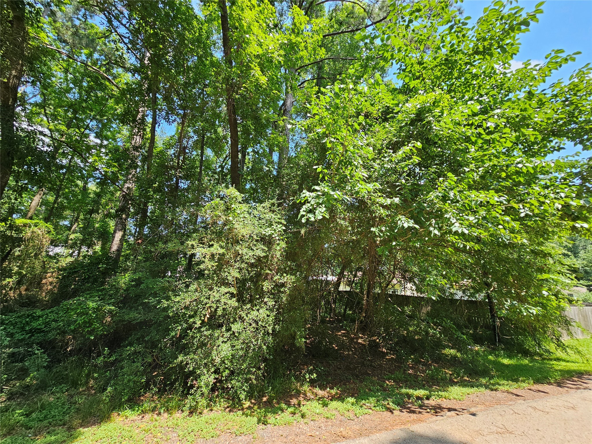 Lot 60 & 61 Arbor Oak Drive Property Photo 11