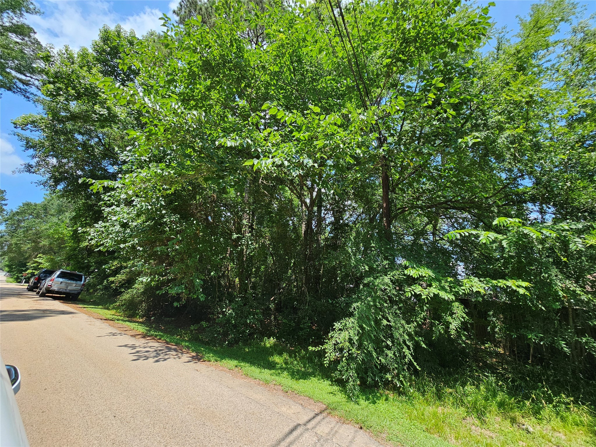 Lot 60 & 61 Arbor Oak Drive Property Photo 12