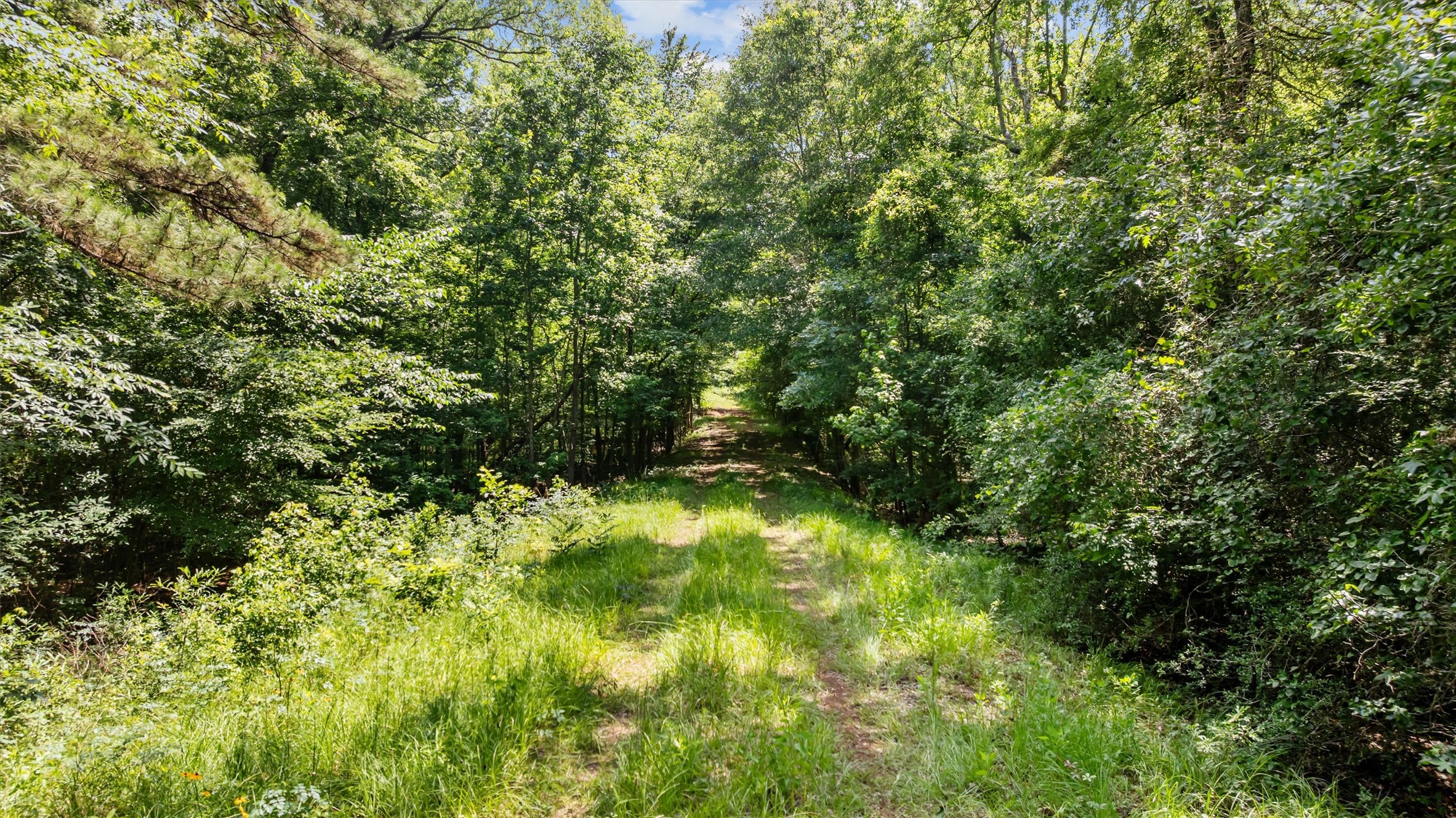1546 County Road 2214 Property Photo 16