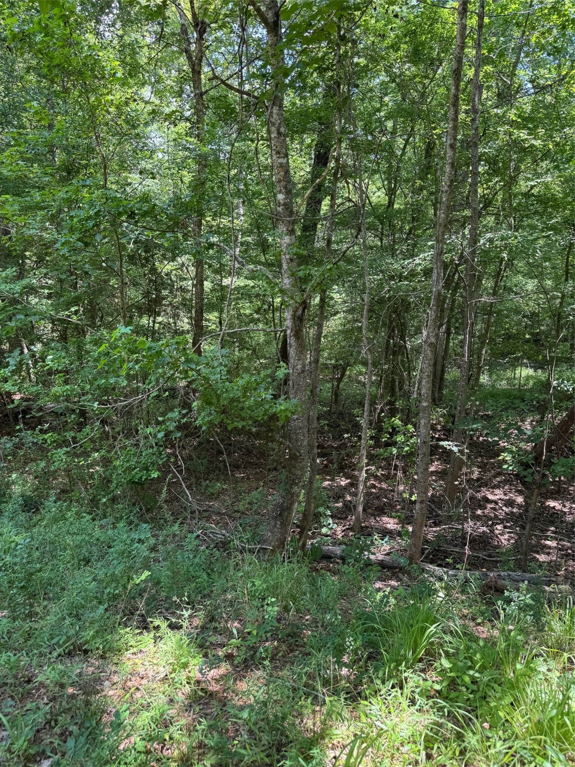 1546 County Road 2214 Property Photo 27