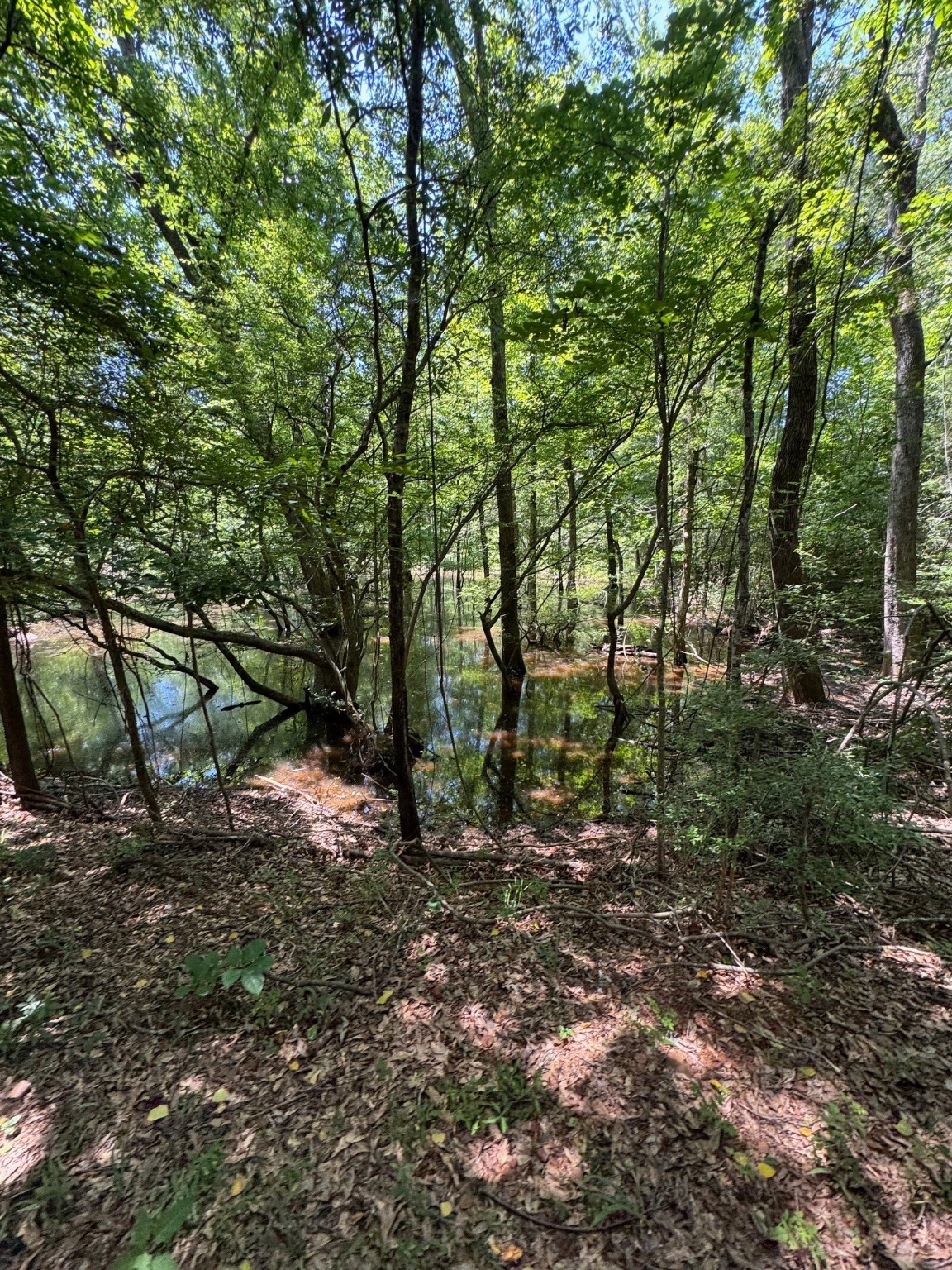 1546 County Road 2214 Property Photo 32
