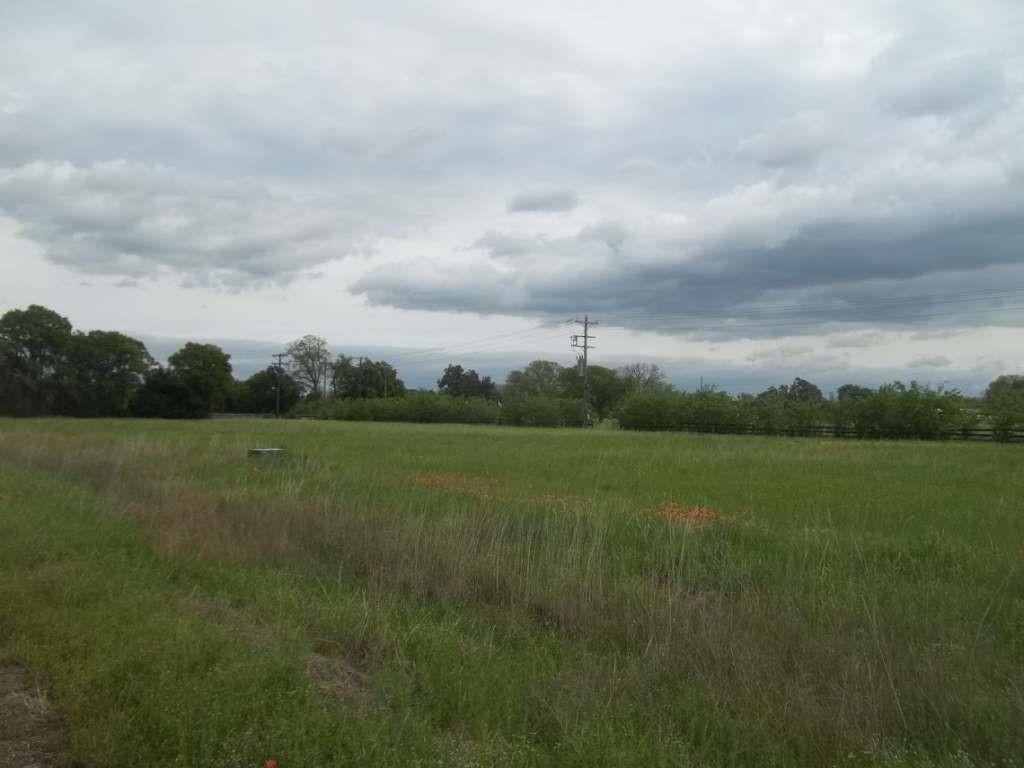 0 Lot 24 Fox Hollow Road Property Photo 1