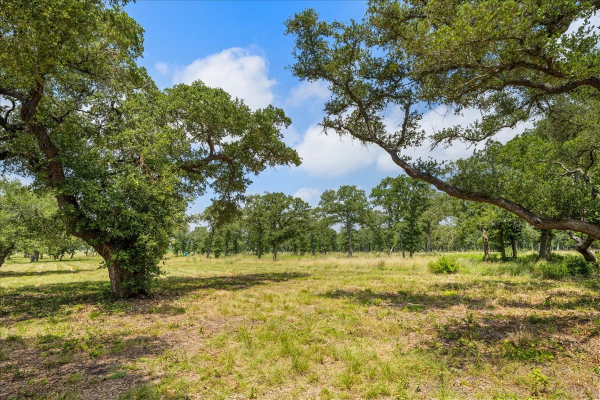 6900 Waldeck Cemetery Road Property Photo 8