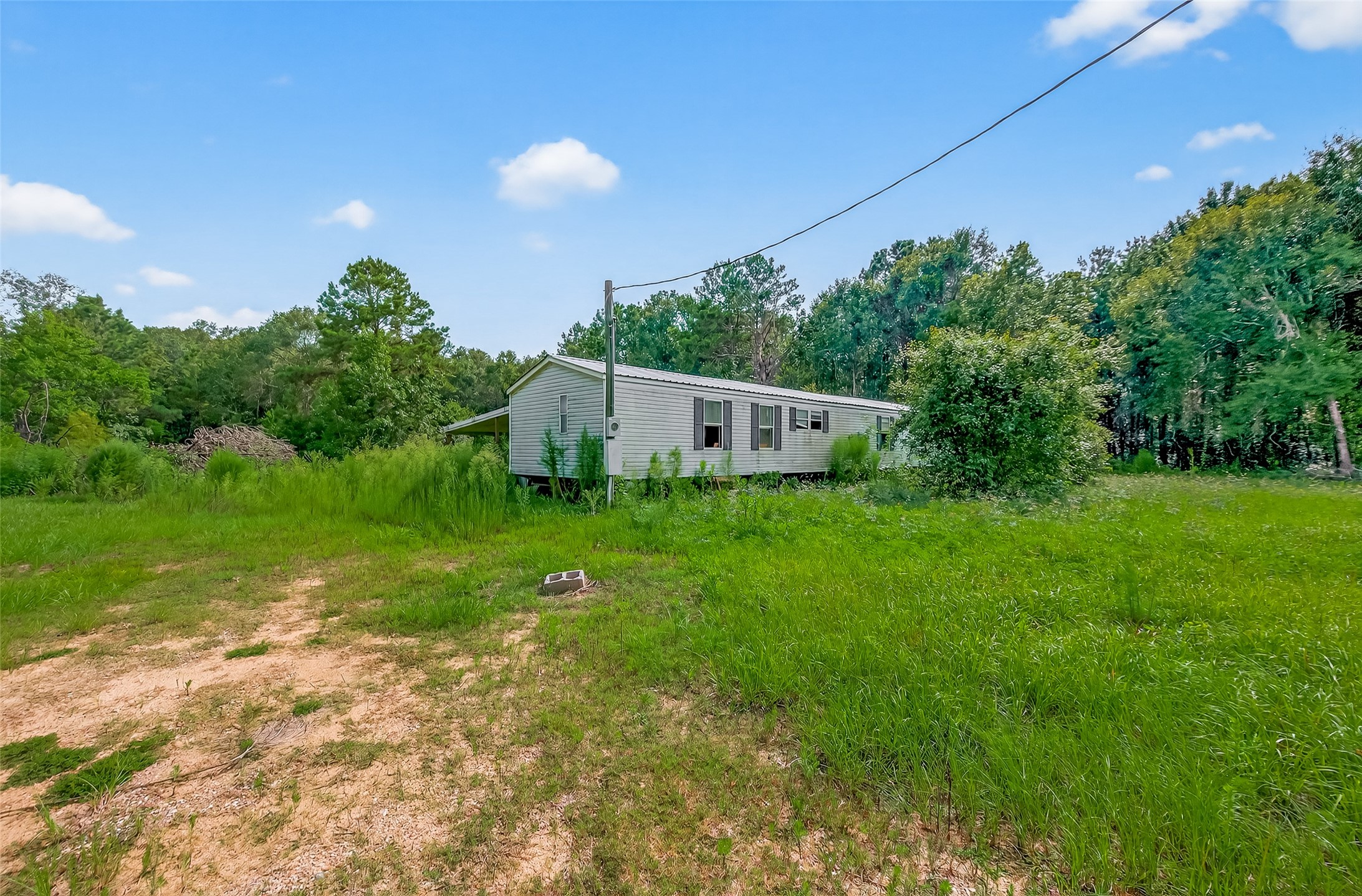 905 County Road 379 Property Photo 4
