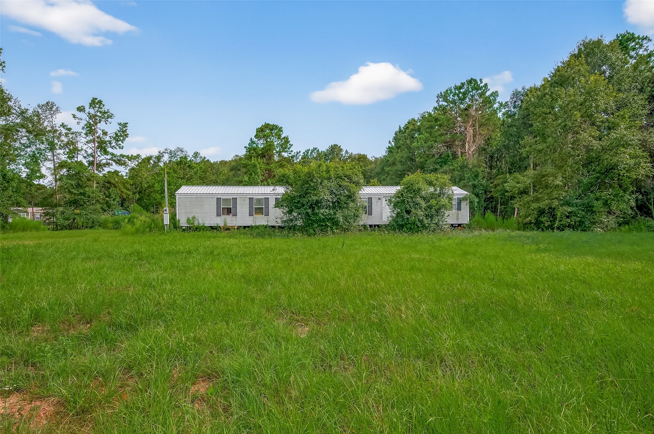 905 County Road 379 Property Photo 5