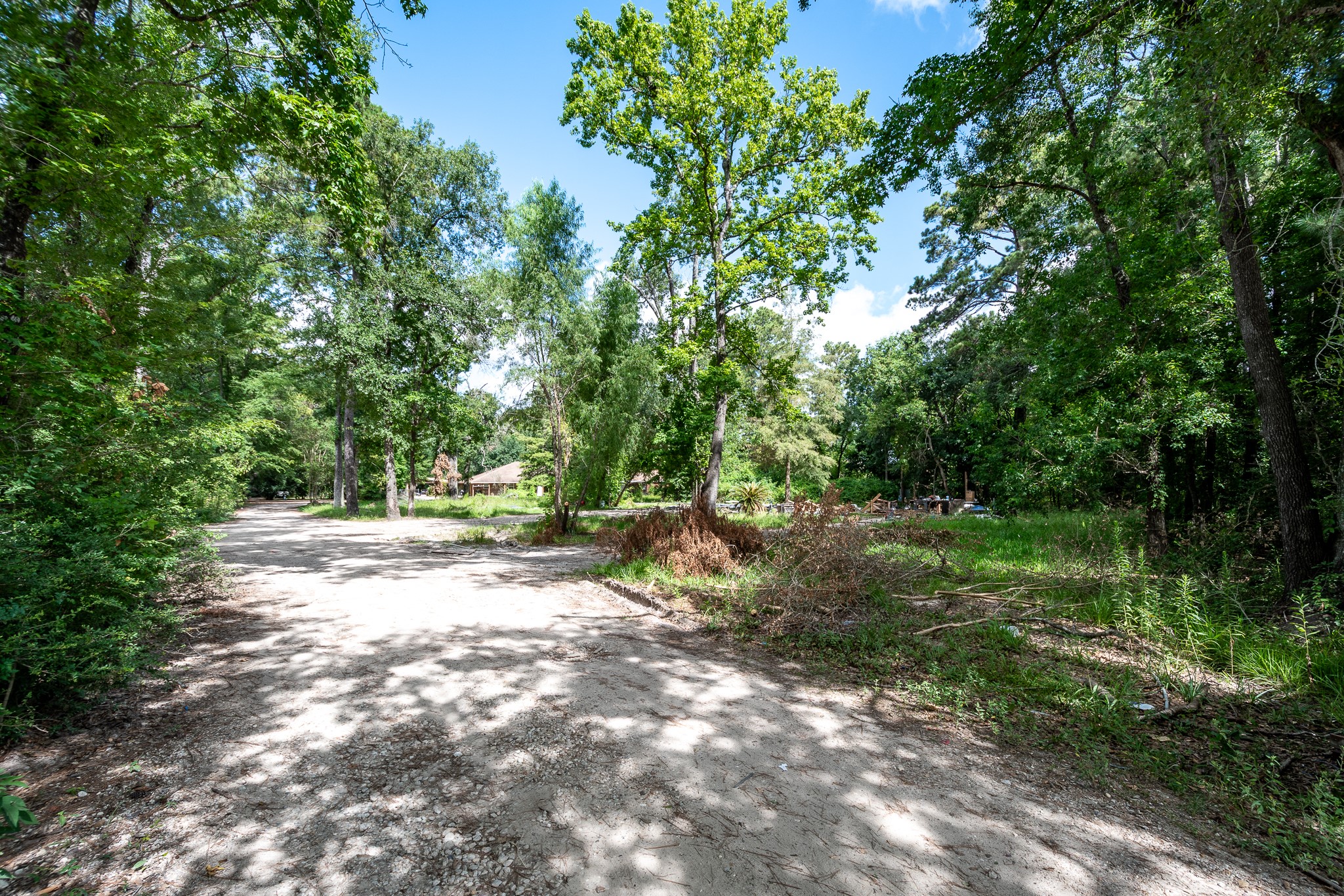 23214 Sorters Road Property Photo 6