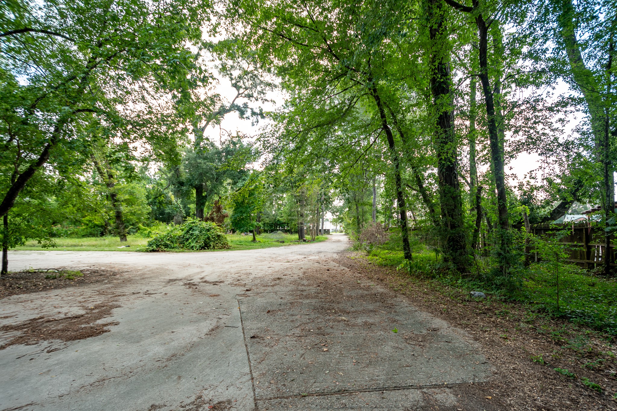 23214 Sorters Road Property Photo 11