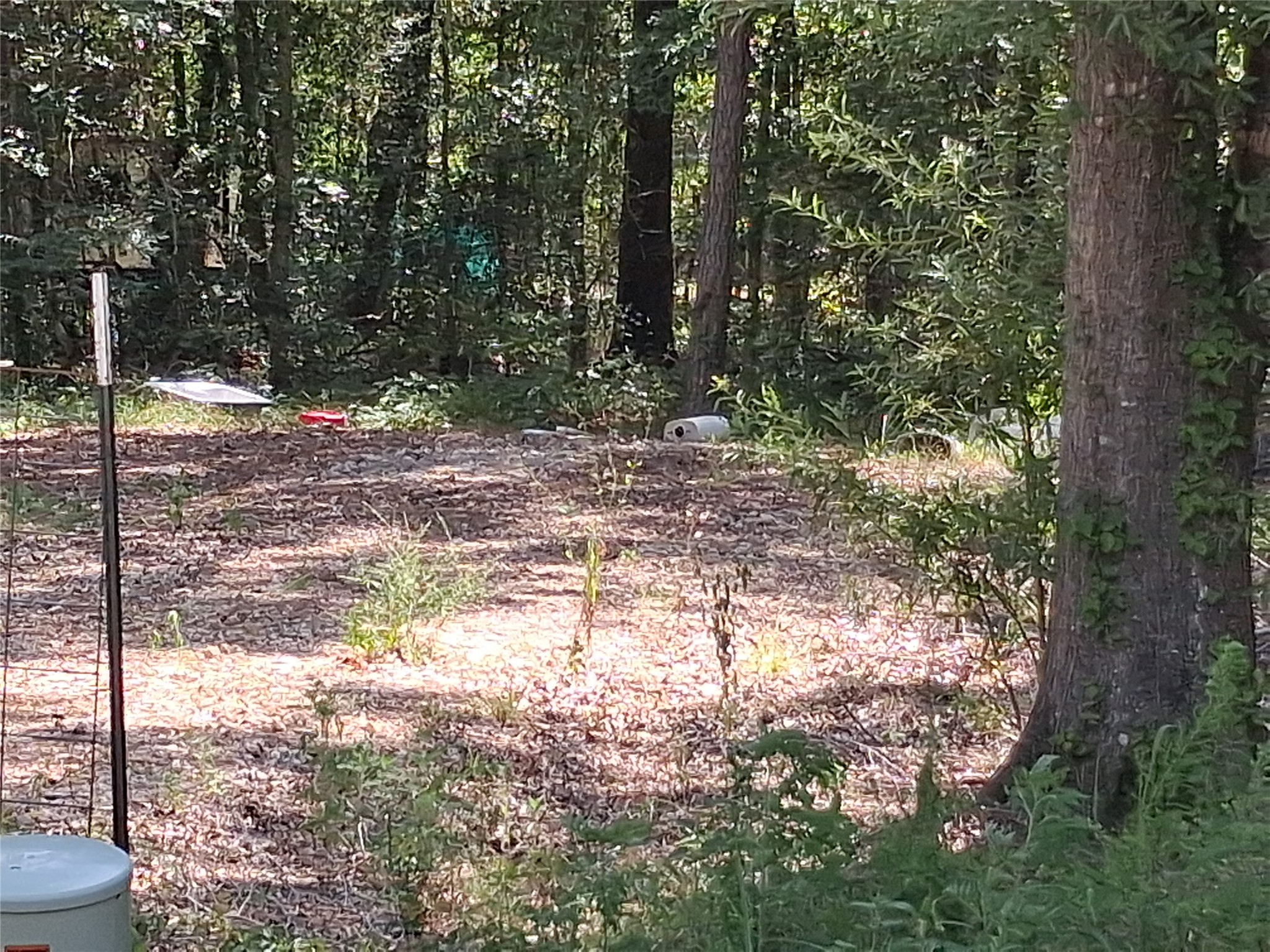 915 Meridian Property Photo 8