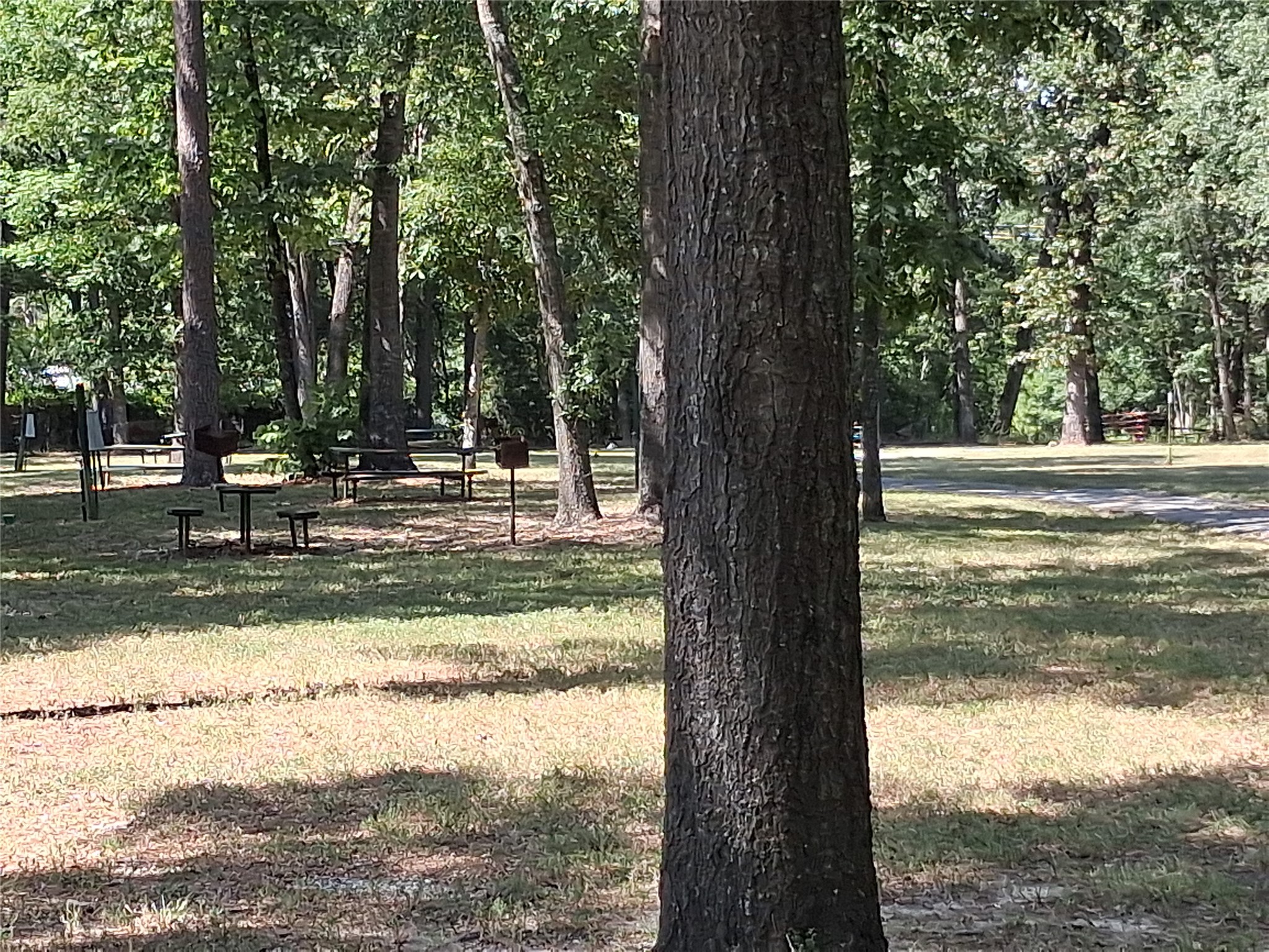 915 Meridian Property Photo 15