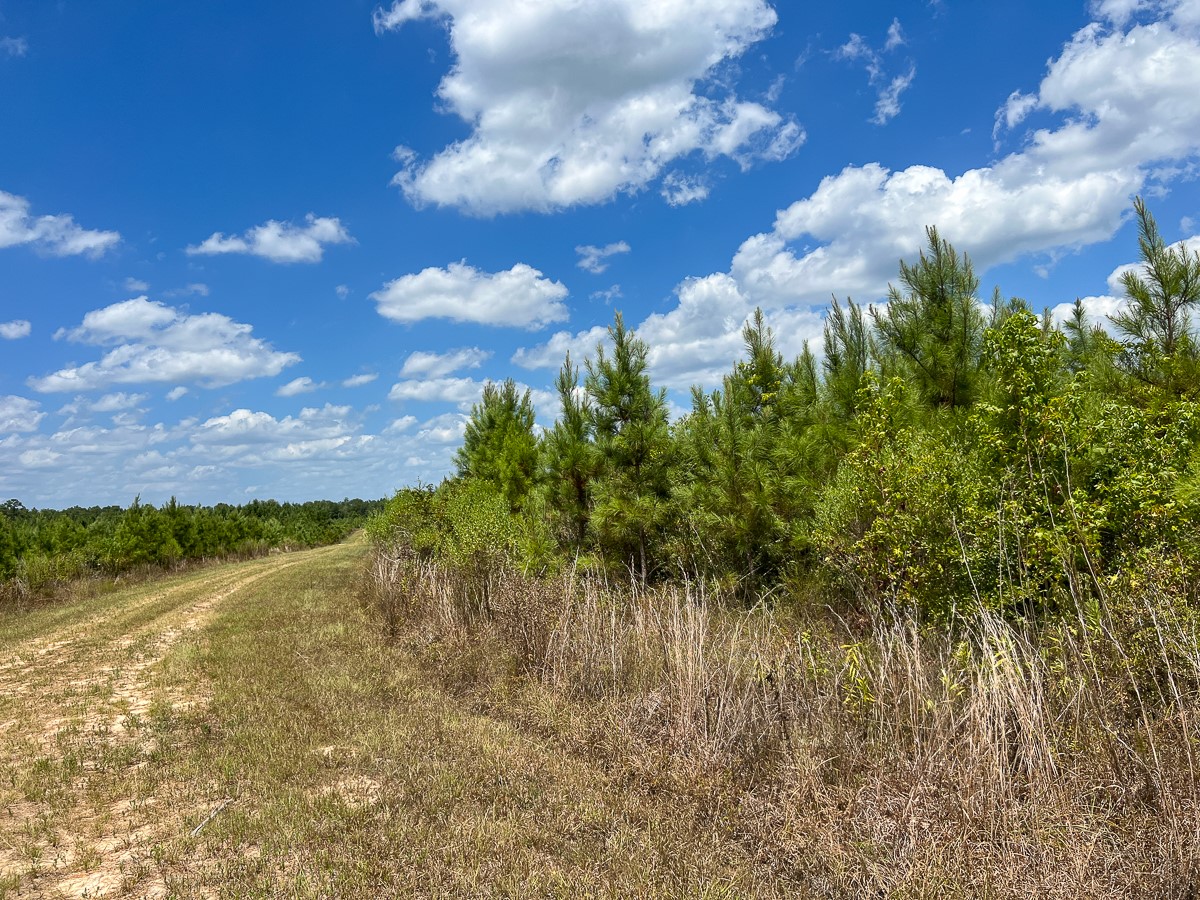 0 Us 69 Property Photo 8