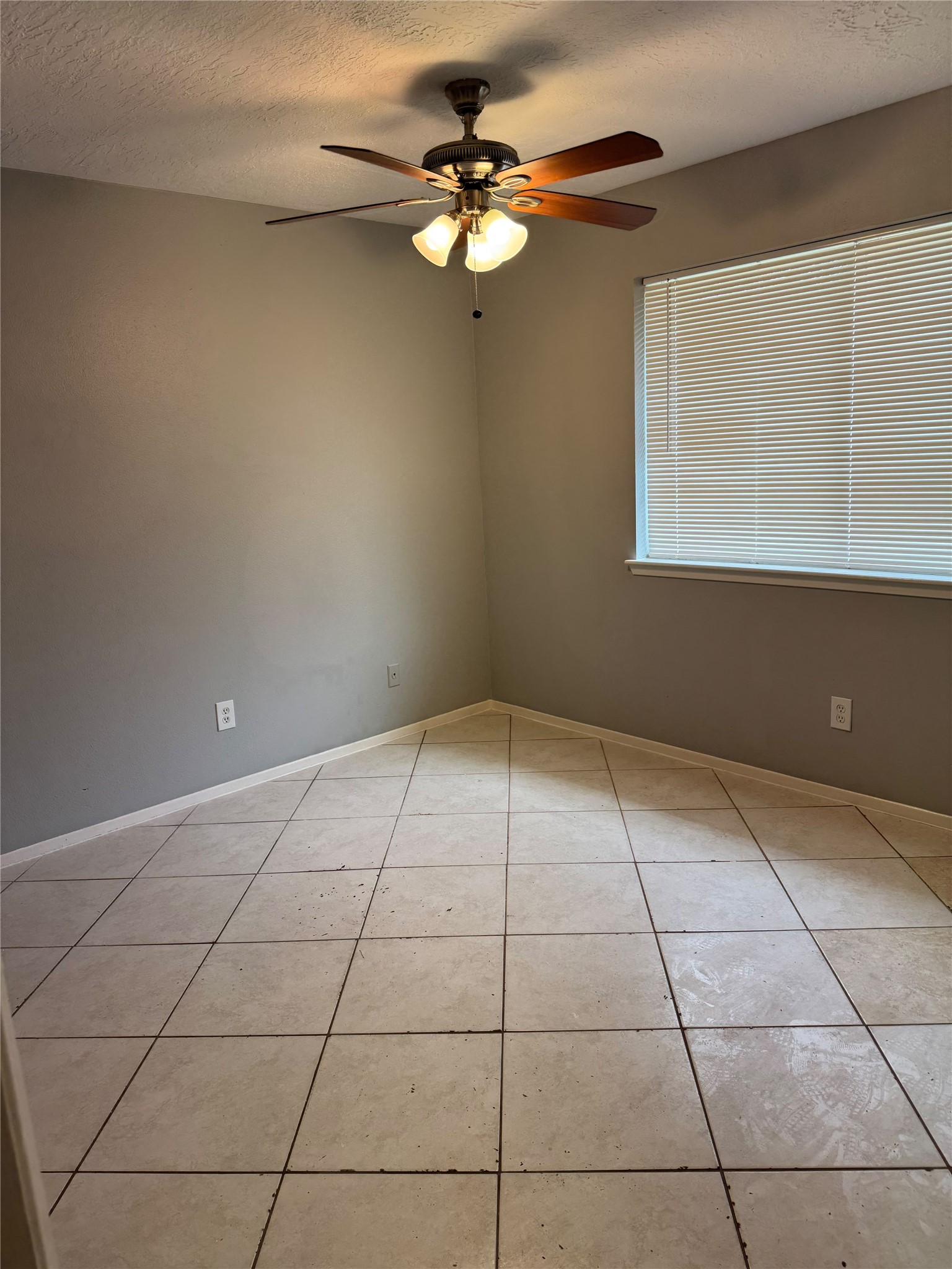 4207 Maple Cross Drive Property Photo 24