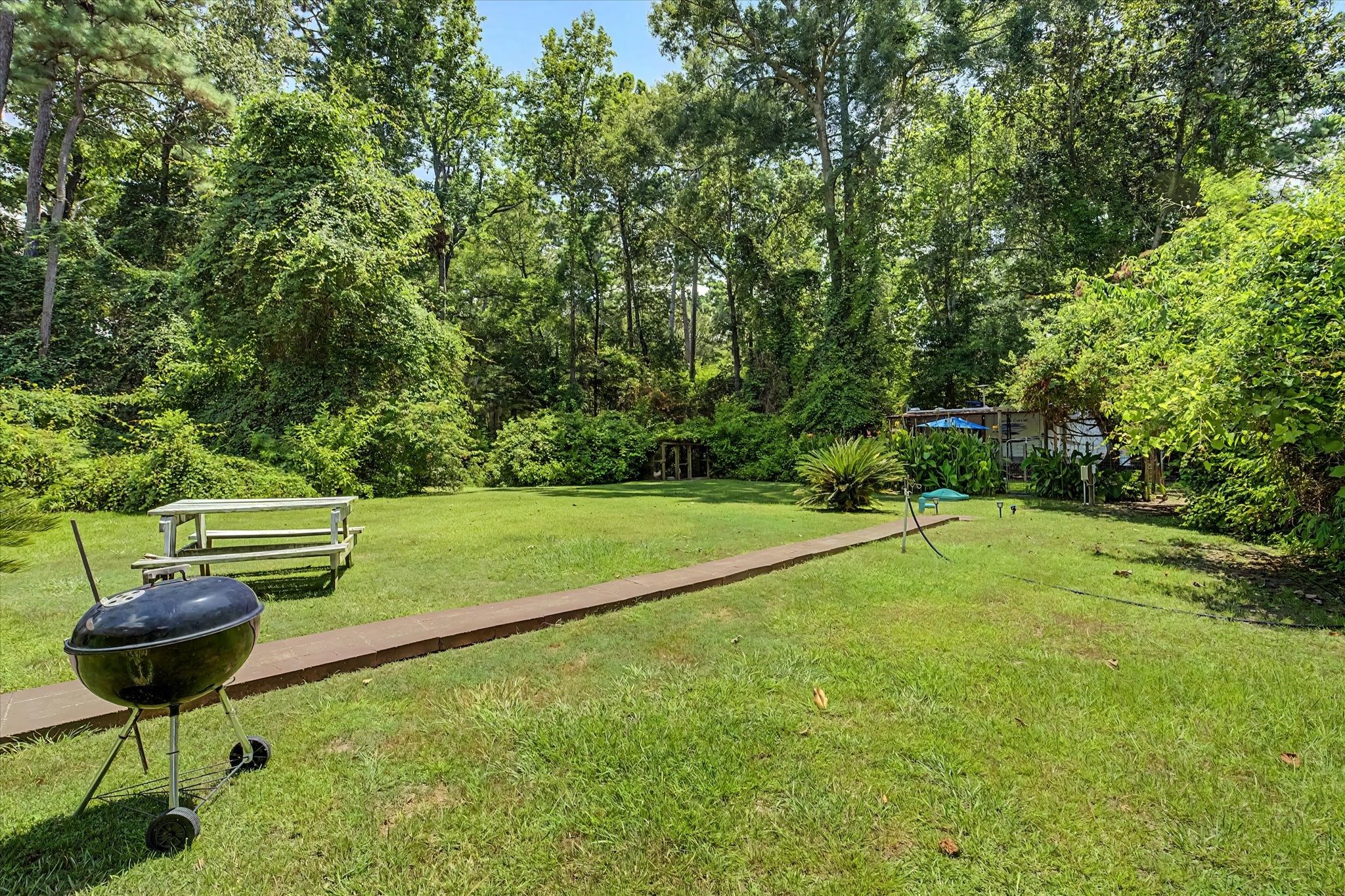 31601 Huffman Cleveland Road Property Photo 5
