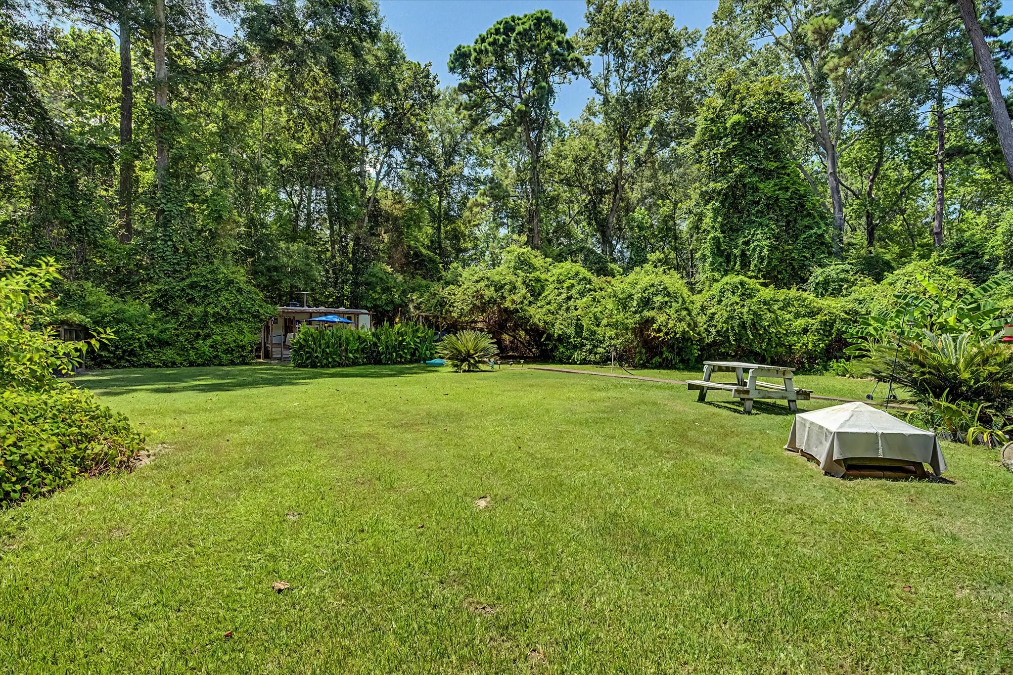 31601 Huffman Cleveland Road Property Photo 6
