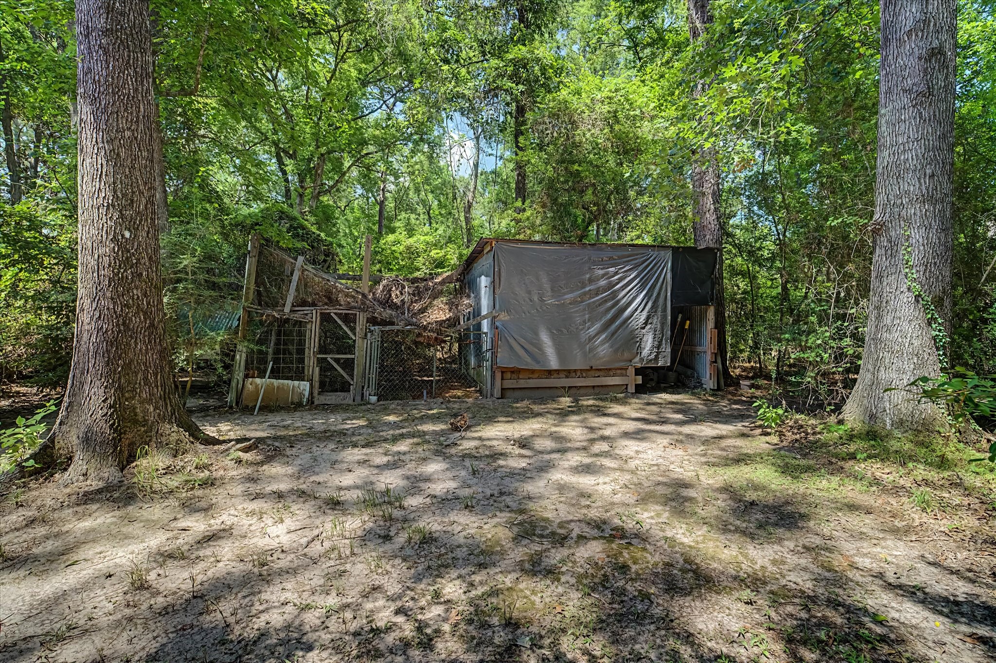 31601 Huffman Cleveland Road Property Photo 9