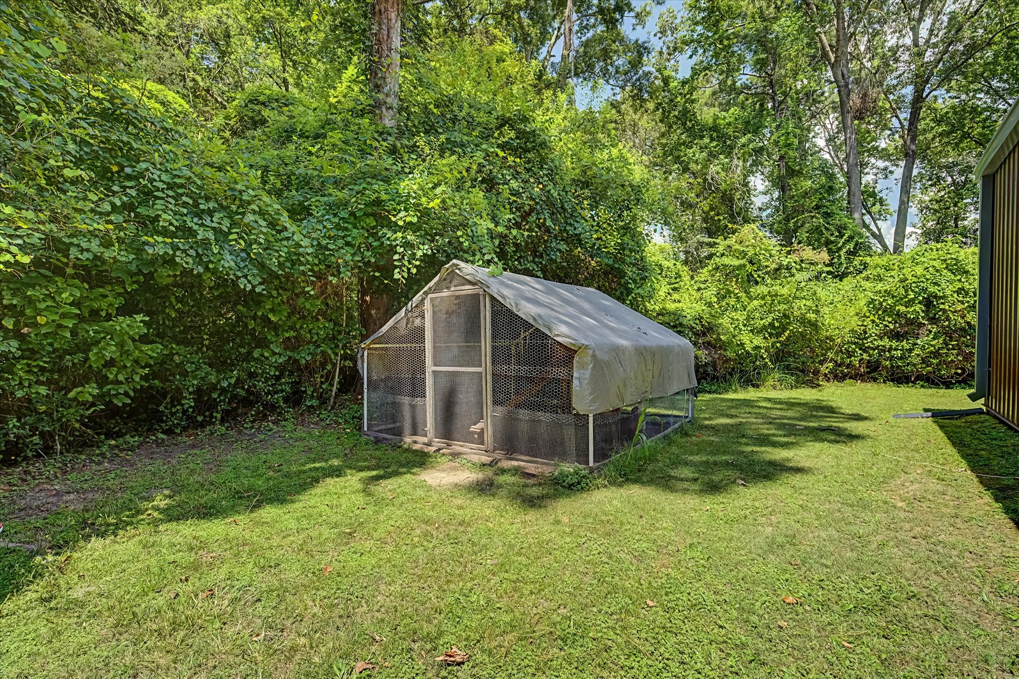 31601 Huffman Cleveland Road Property Photo 10