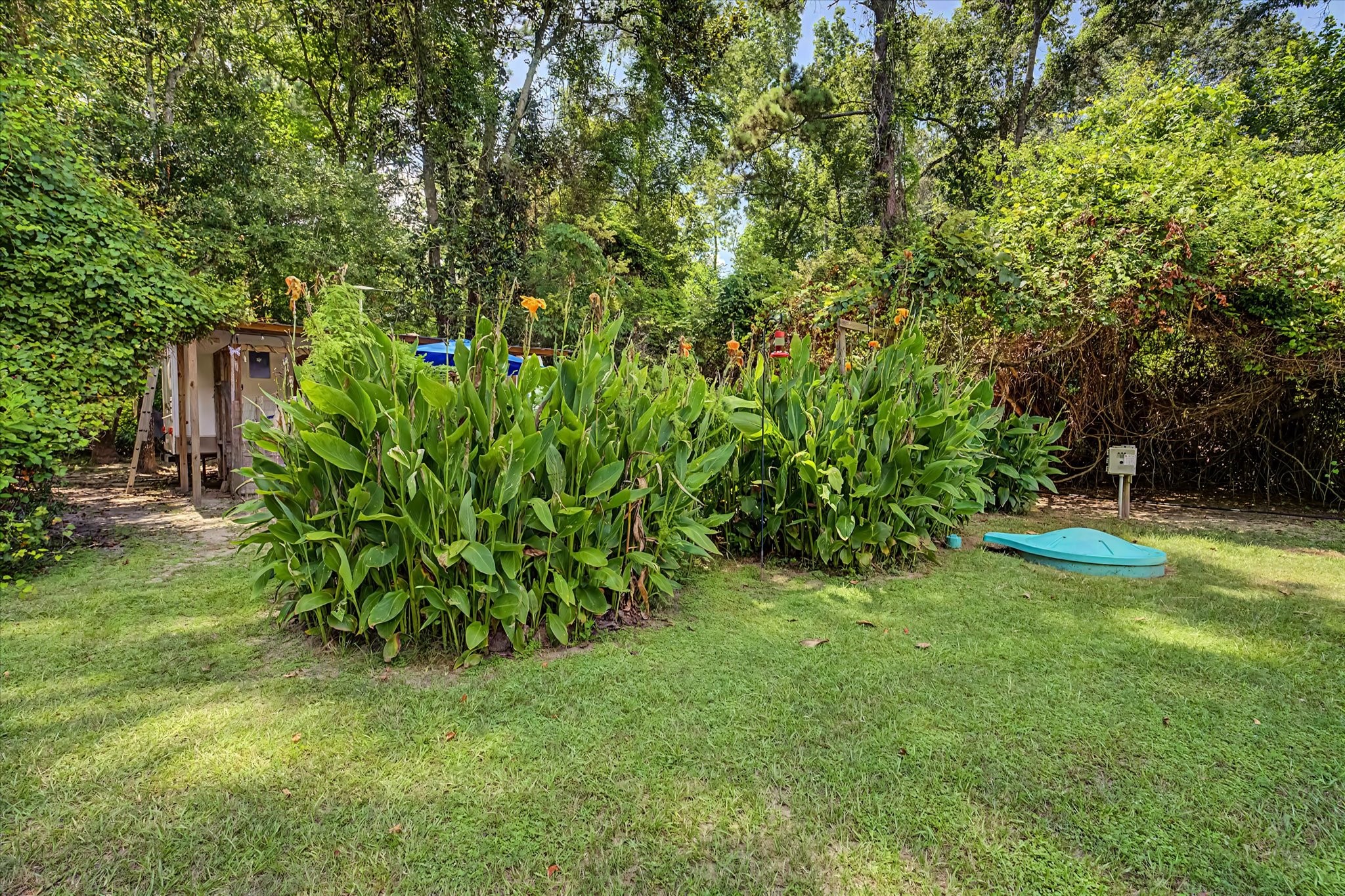31601 Huffman Cleveland Road Property Photo 11
