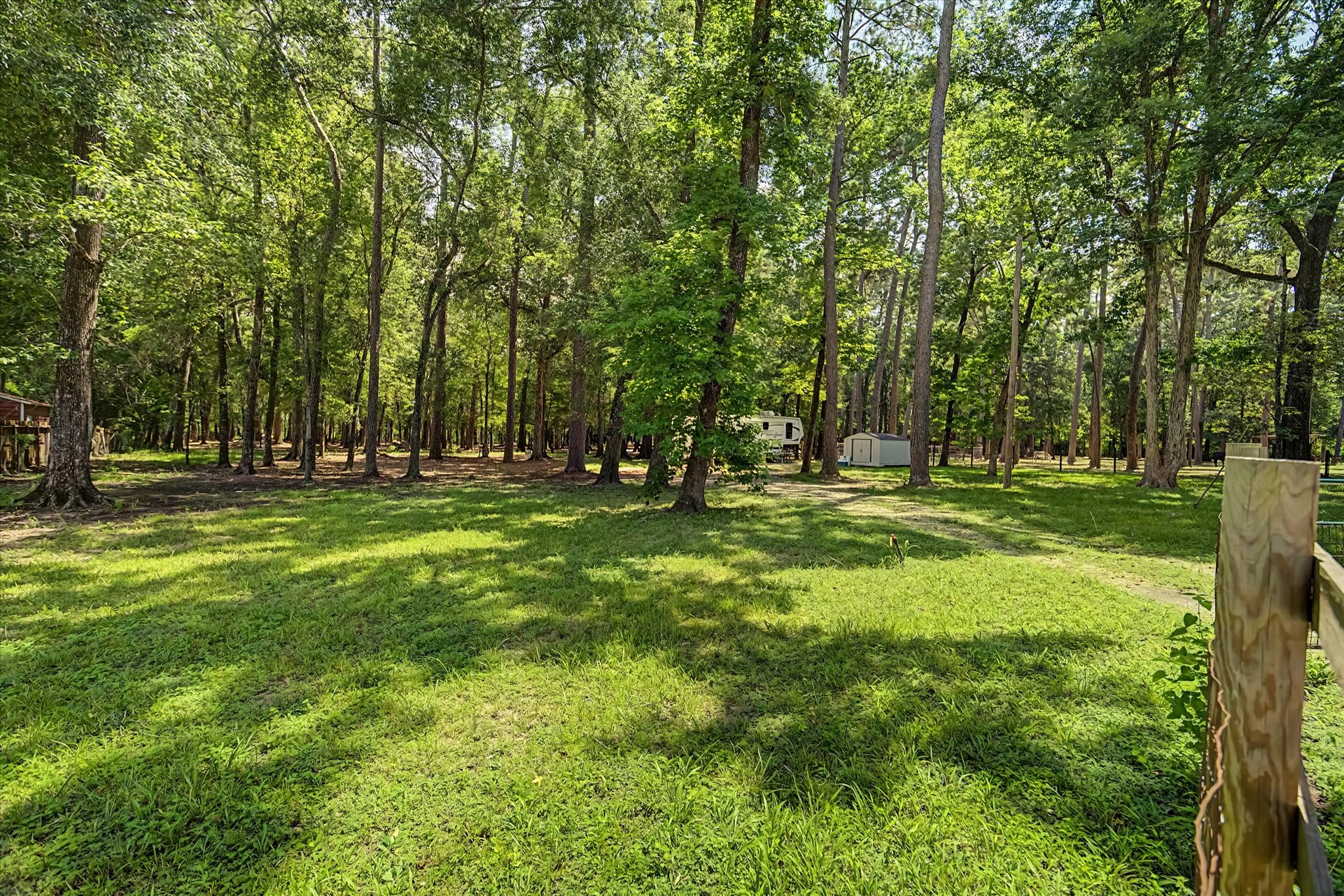 31601 Huffman Cleveland Road Property Photo 13