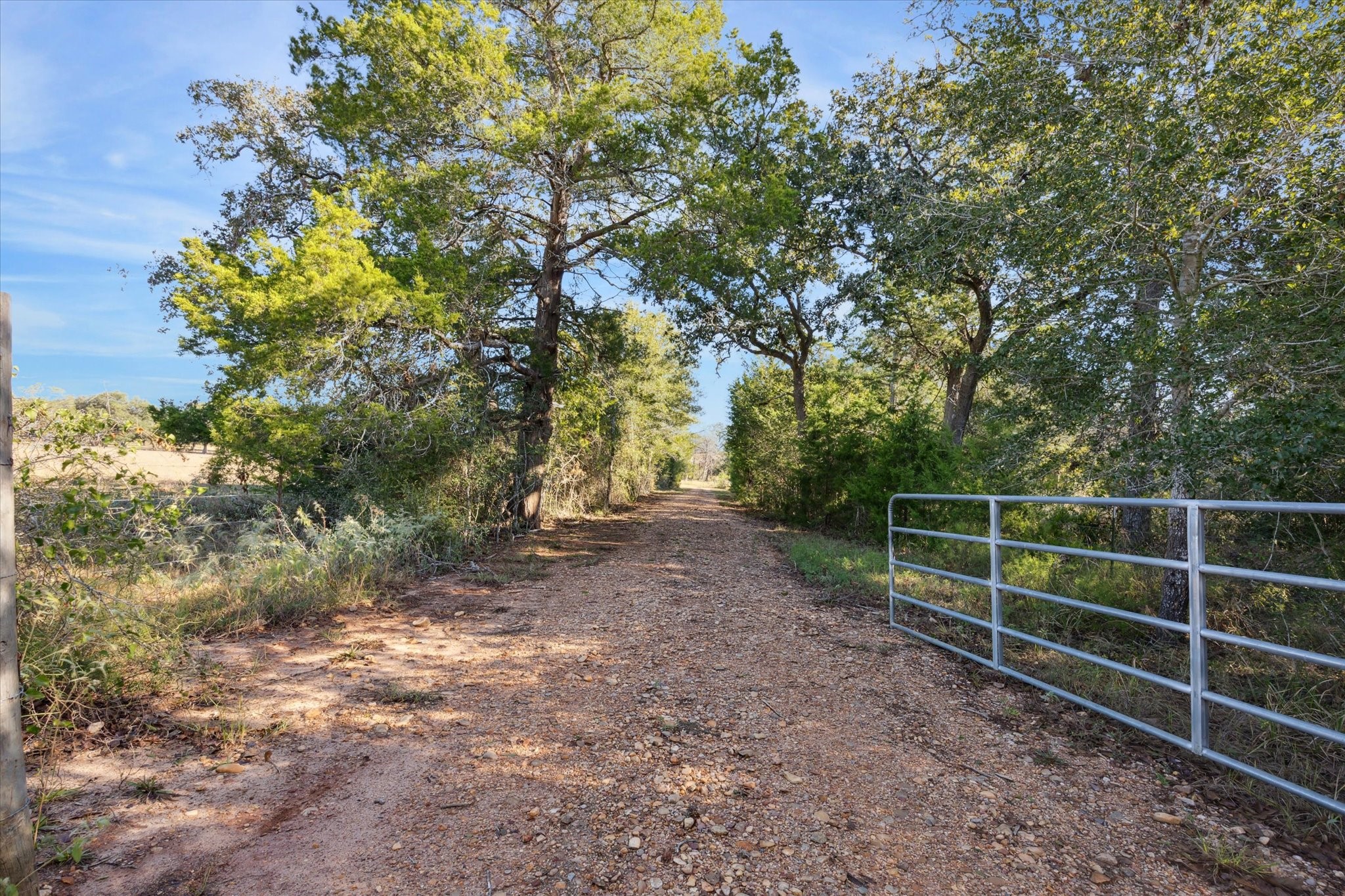 000 Koeppens Trail Property Photo 2