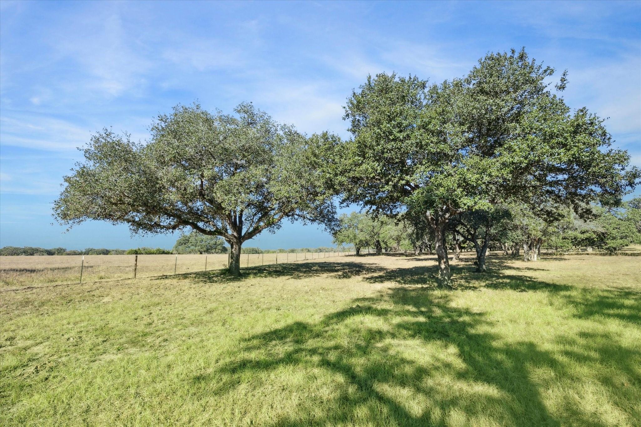 000 Koeppens Trail Property Photo 4