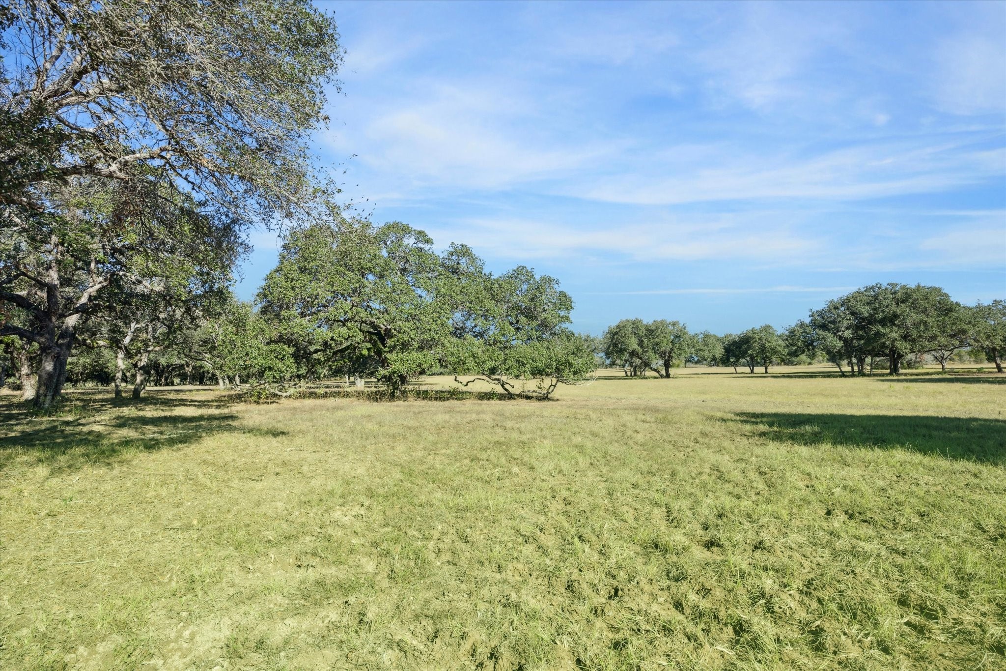 000 Koeppens Trail Property Photo 5