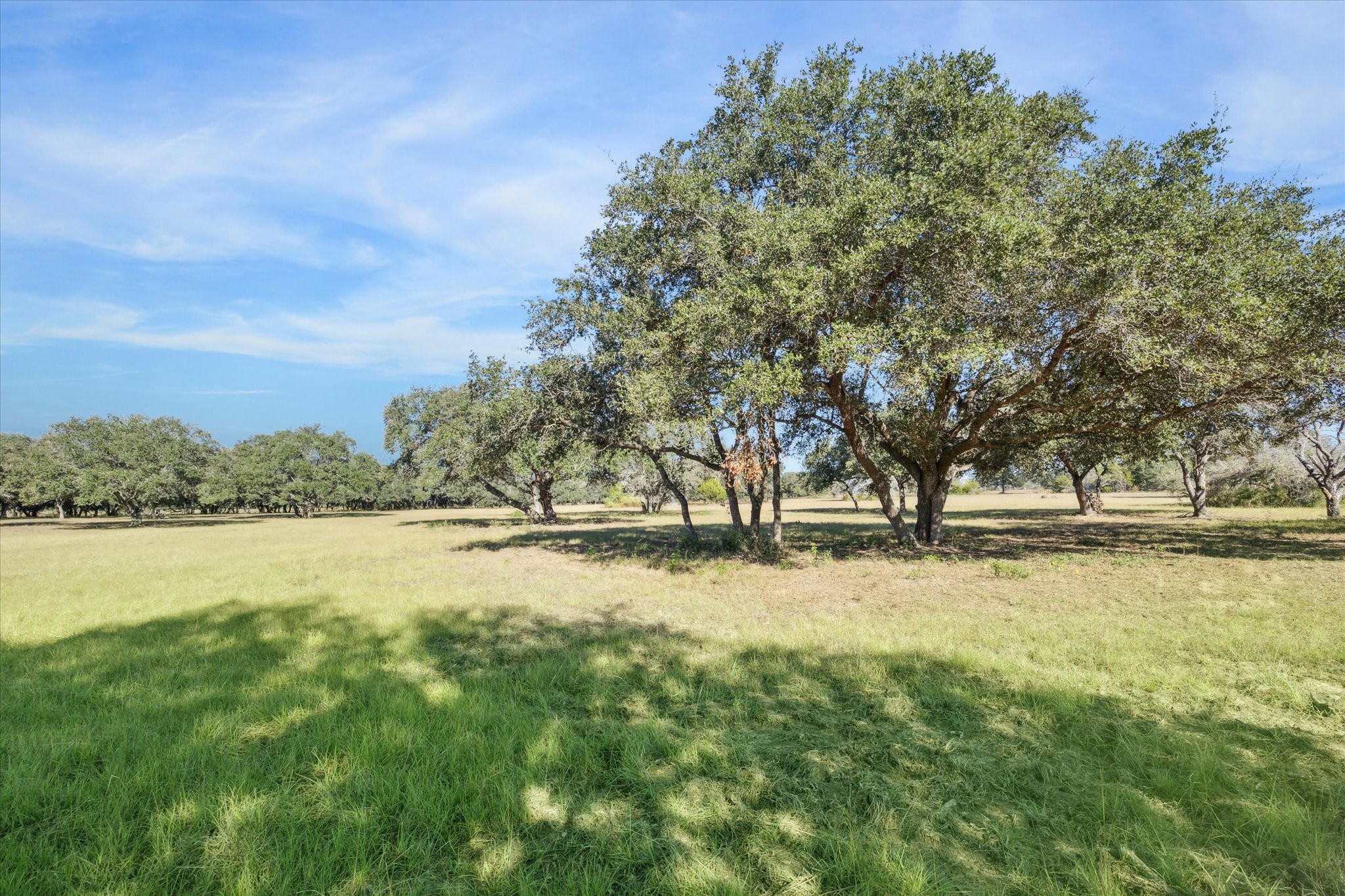 000 Koeppens Trail Property Photo 7
