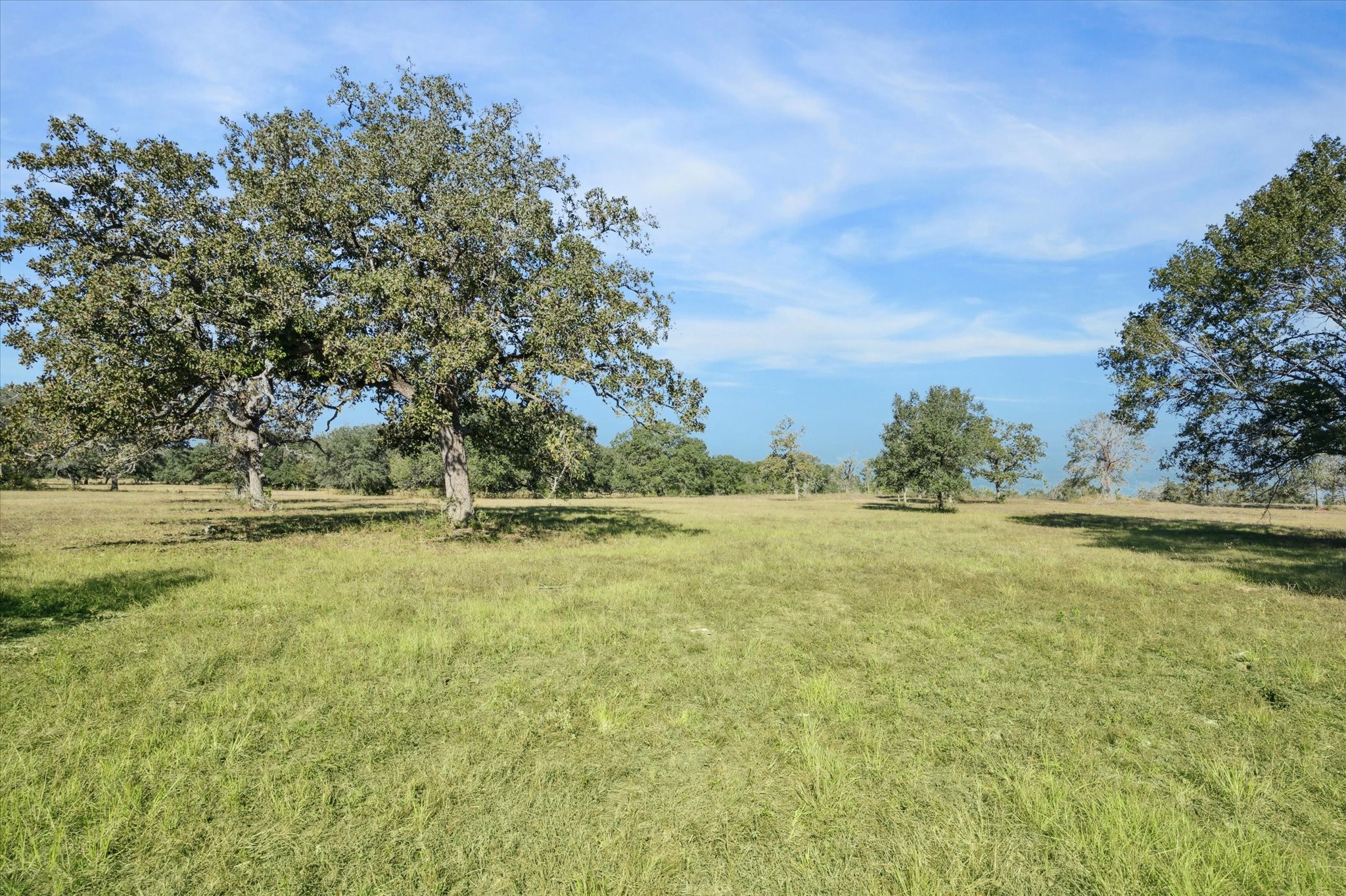 000 Koeppens Trail Property Photo 8