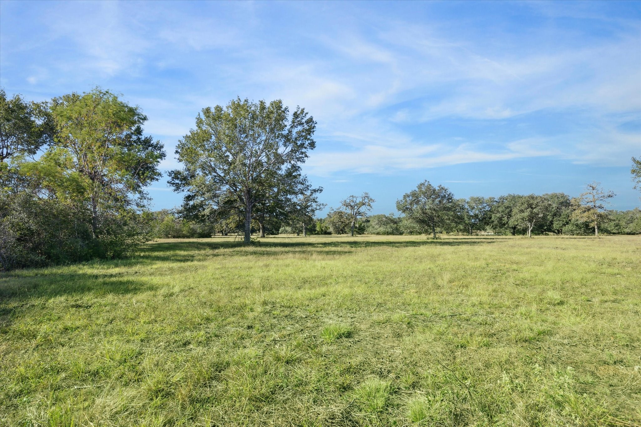 000 Koeppens Trail Property Photo 9