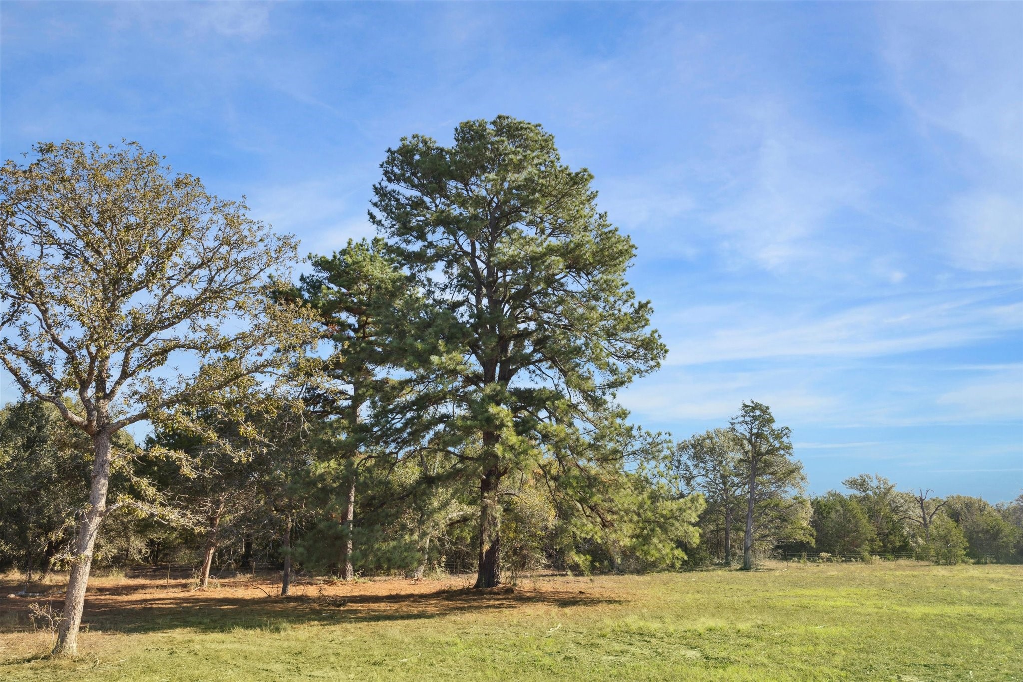 000 Koeppens Trail Property Photo 10