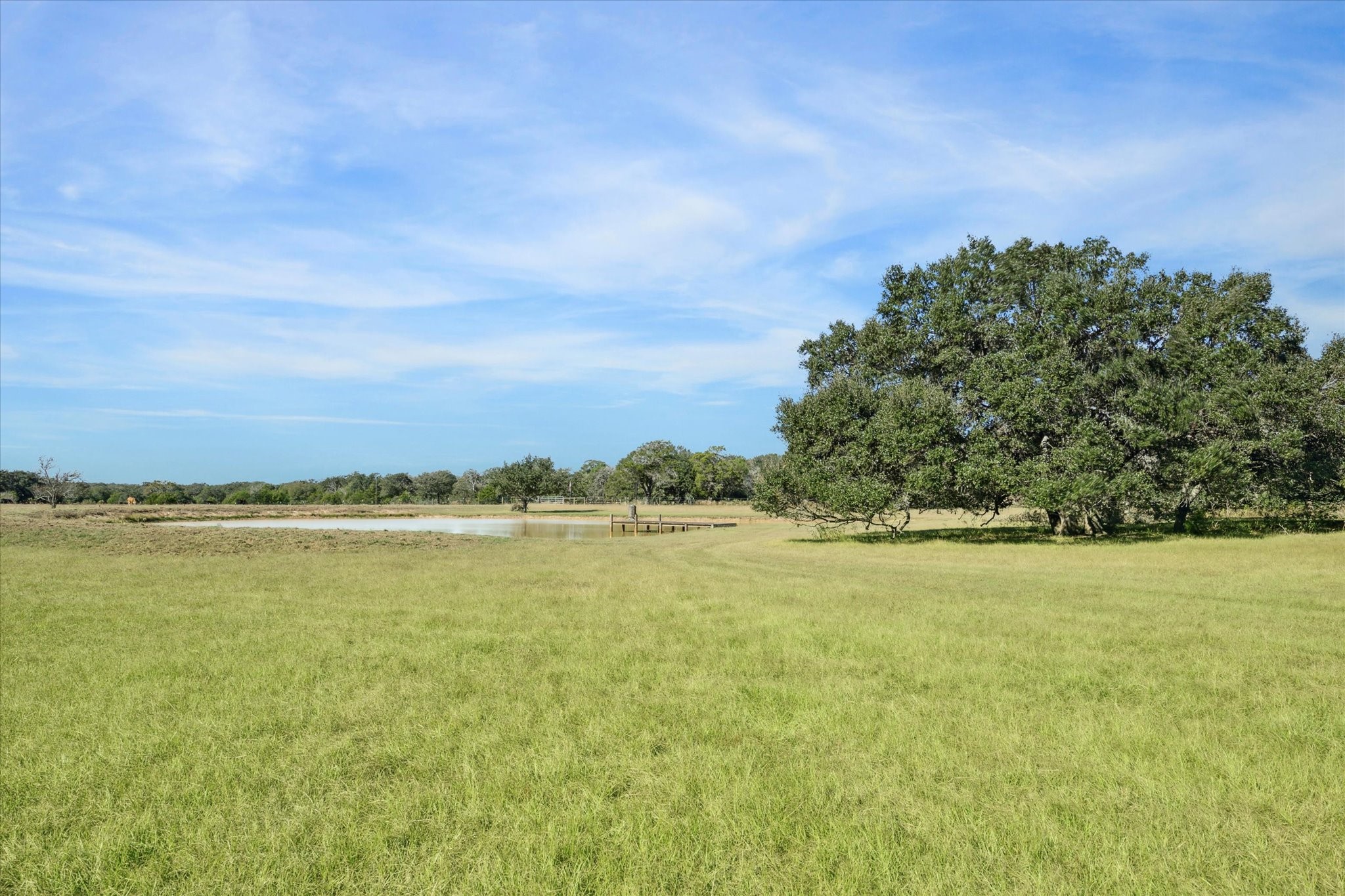 000 Koeppens Trail Property Photo 16