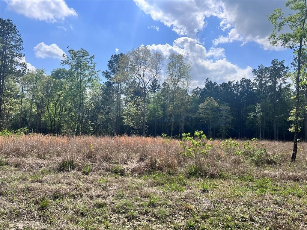 1208 Road 660 Property Photo 1