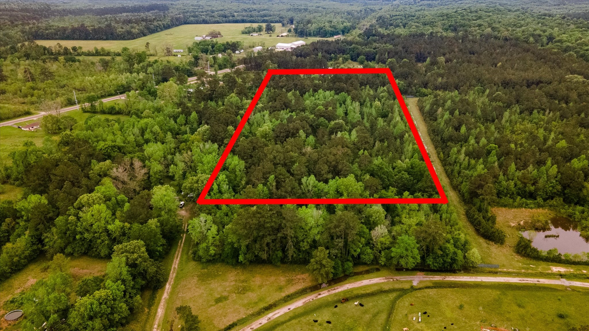 Tbd Shaw Road Property Photo 1